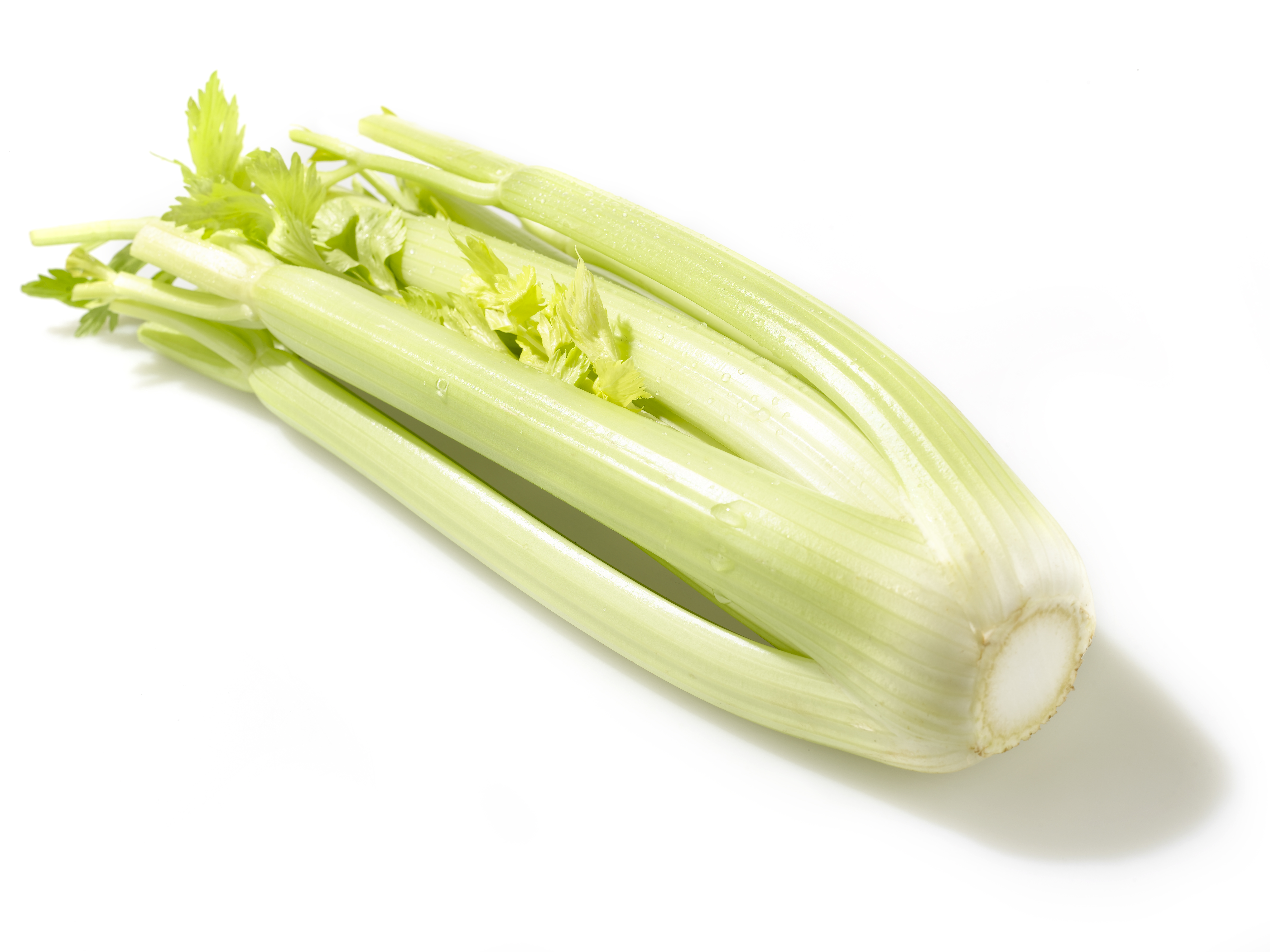 Celery (1 piece) · Rewe · Germany · mynetfair