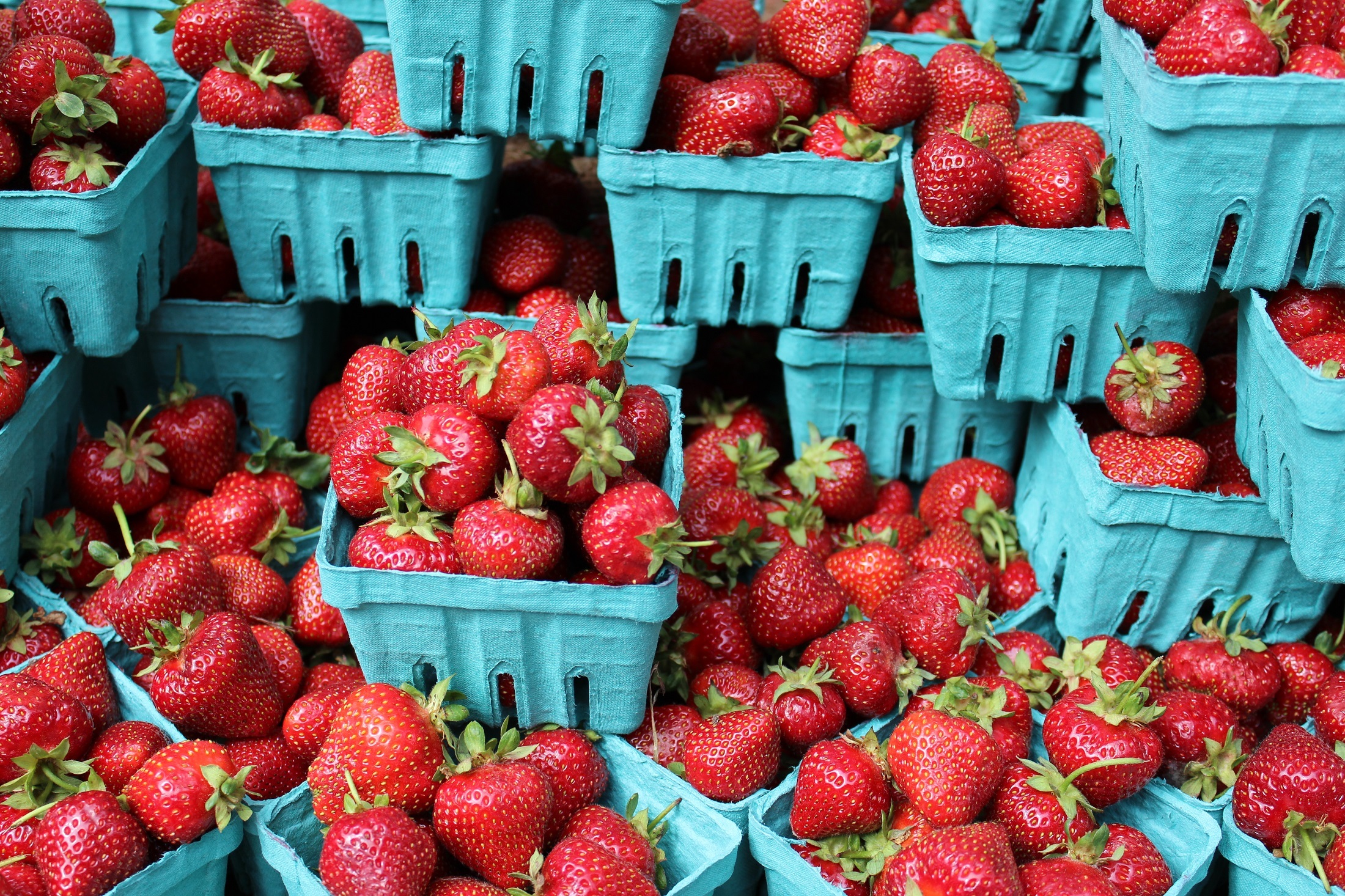 Fresh strawberries photo