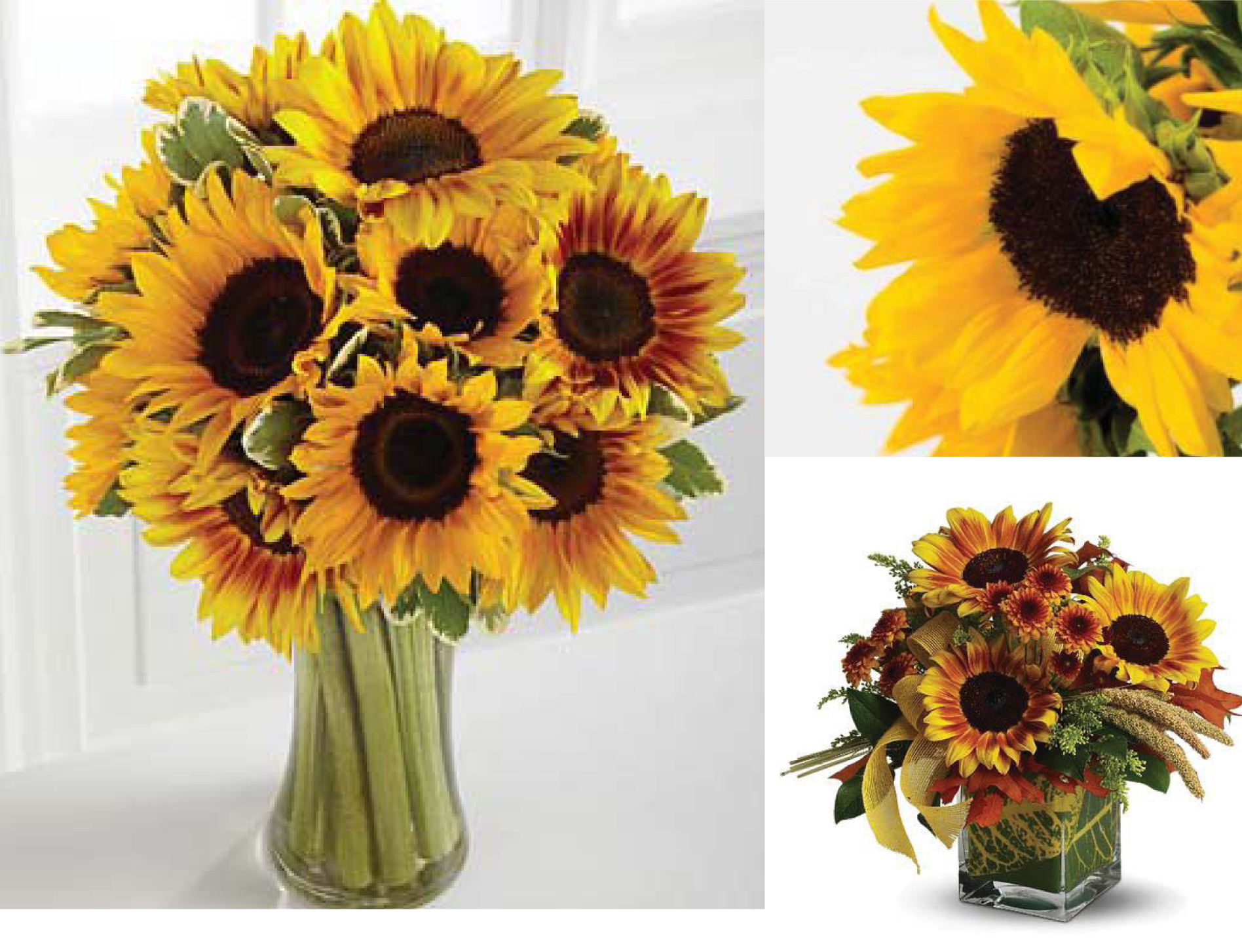 Tis the Season for Sunflowers | Carithers Flowers
