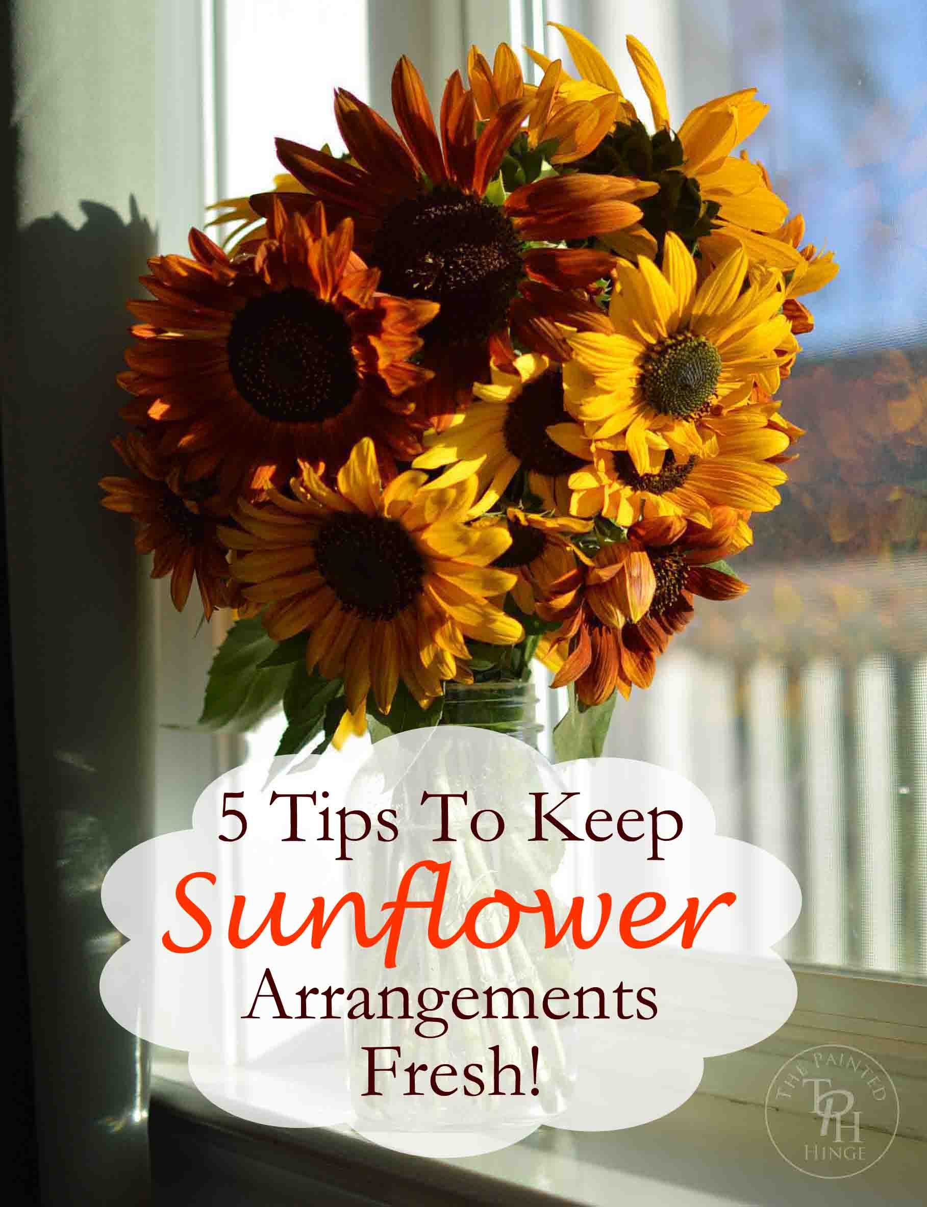 5 Tips On How To Keep Sunflowers Alive And Fresh