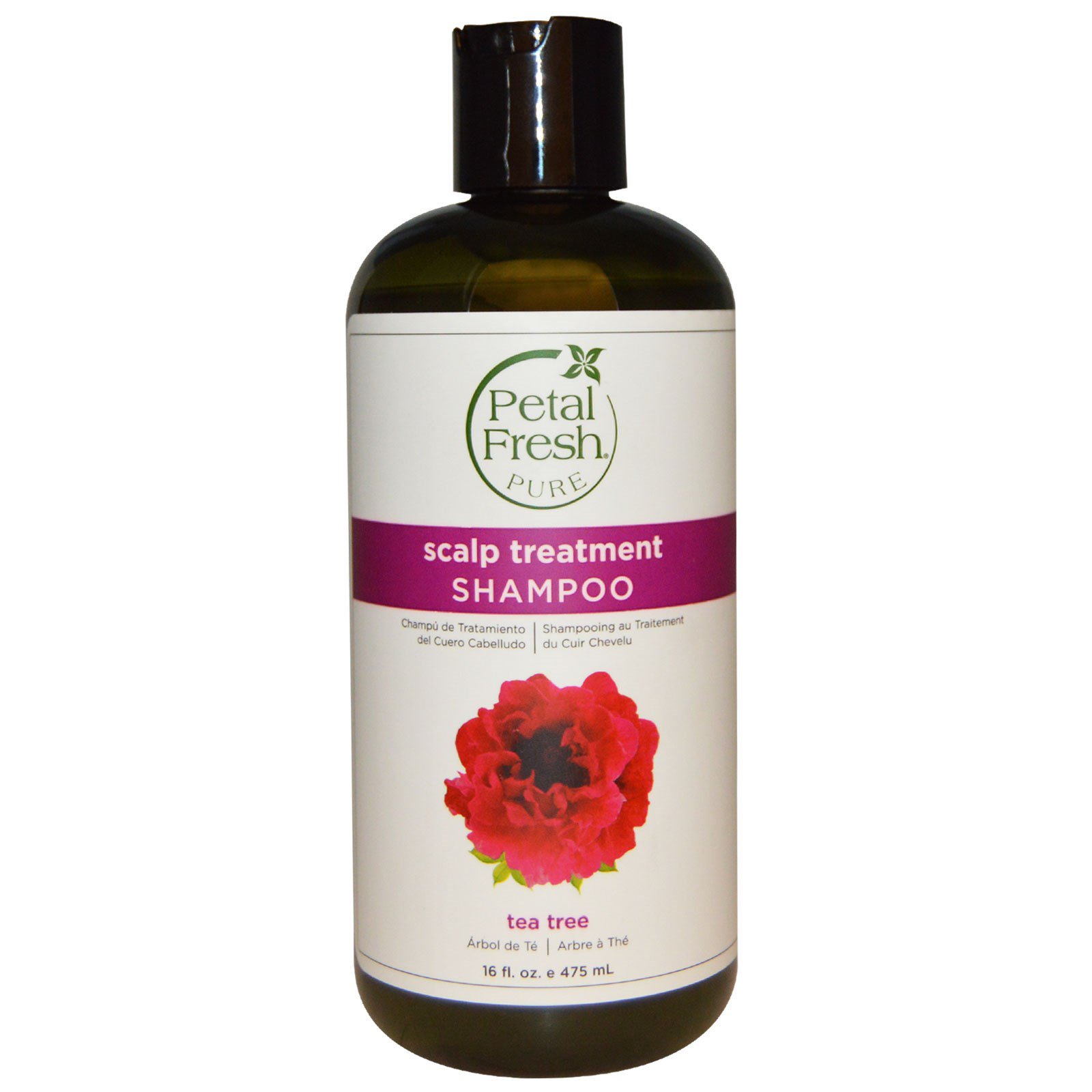 Petal Fresh, Pure, Scalp Treatment Shampoo, Tea Tree, 16 fl oz (475 ...