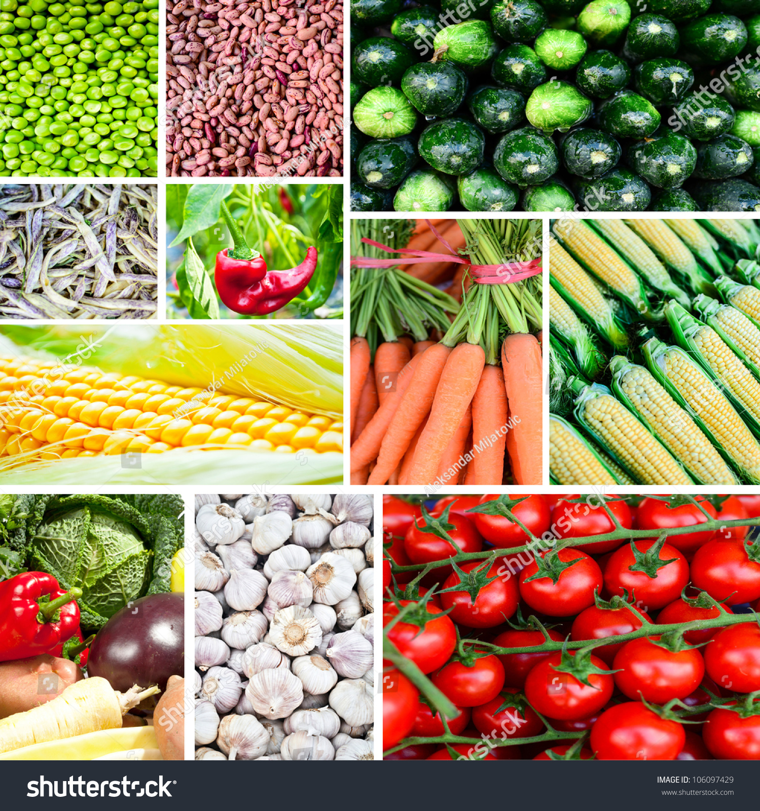 Vegetable Collage Group Various Fresh Vegetables Stock Photo ...