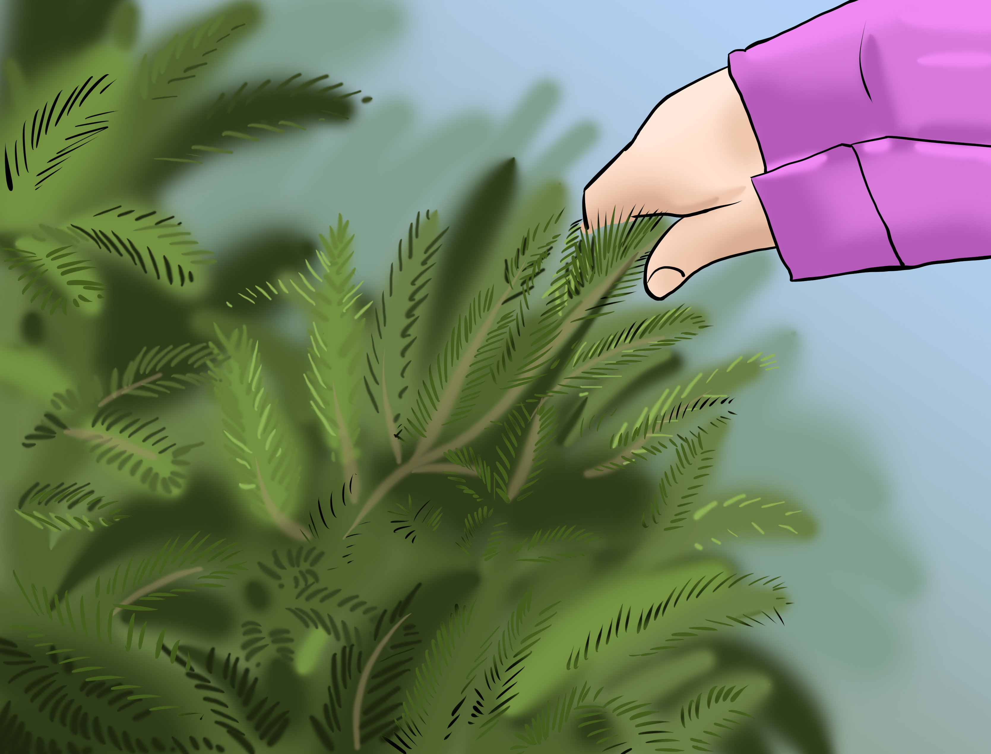 How to Check the Freshness of a Christmas Tree: 4 Steps