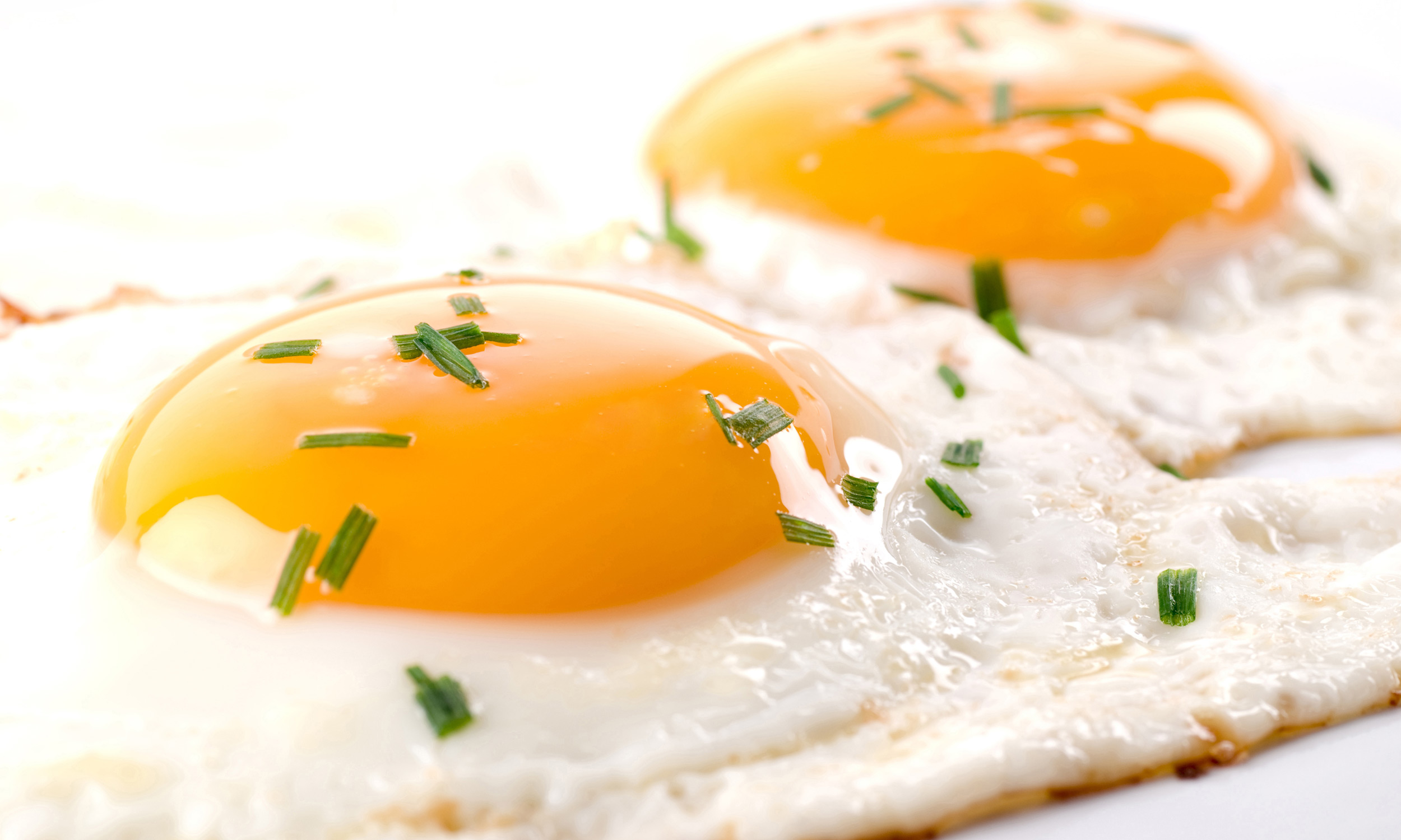 Fried Eggs - Science of Cooking