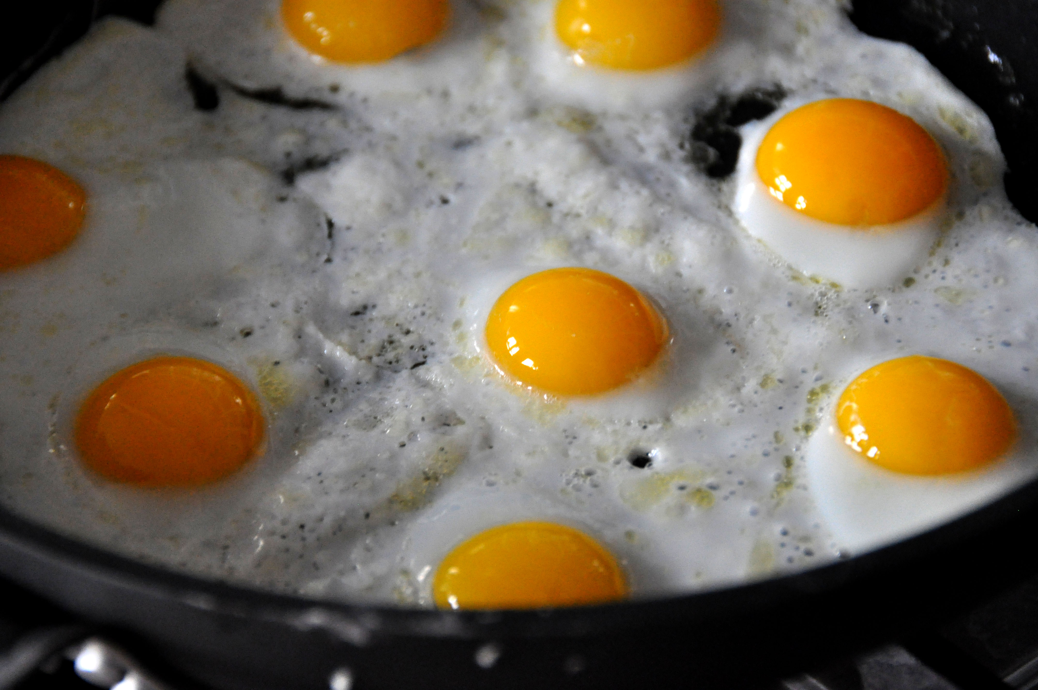Fried egg - Wikiwand
