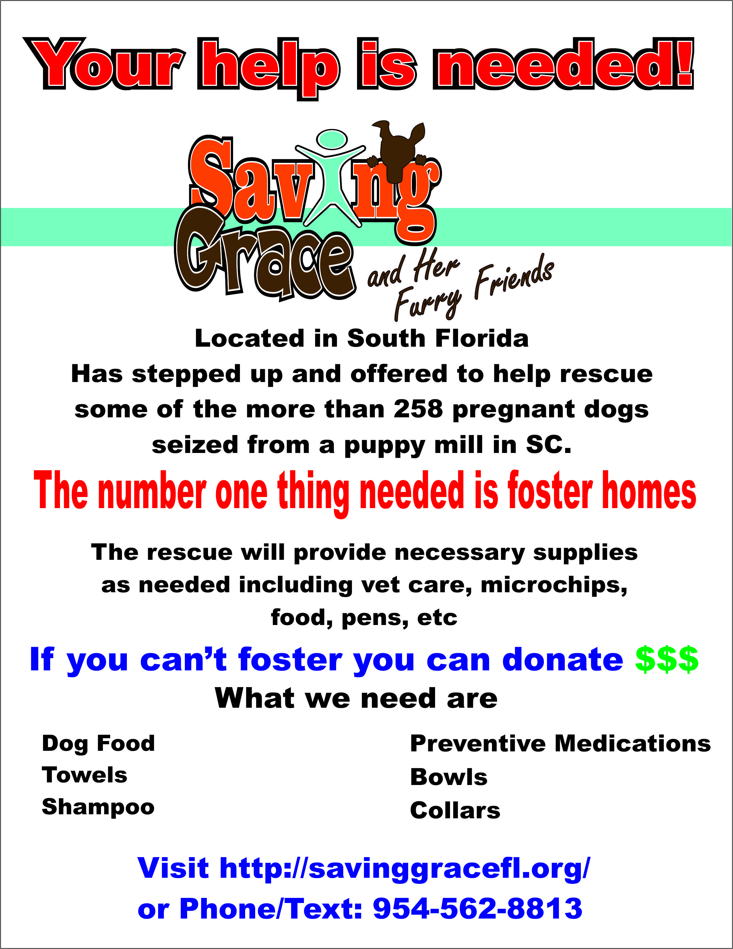 Pets for Adoption at Saving Grace and Her Furry Friends, in Davie ...