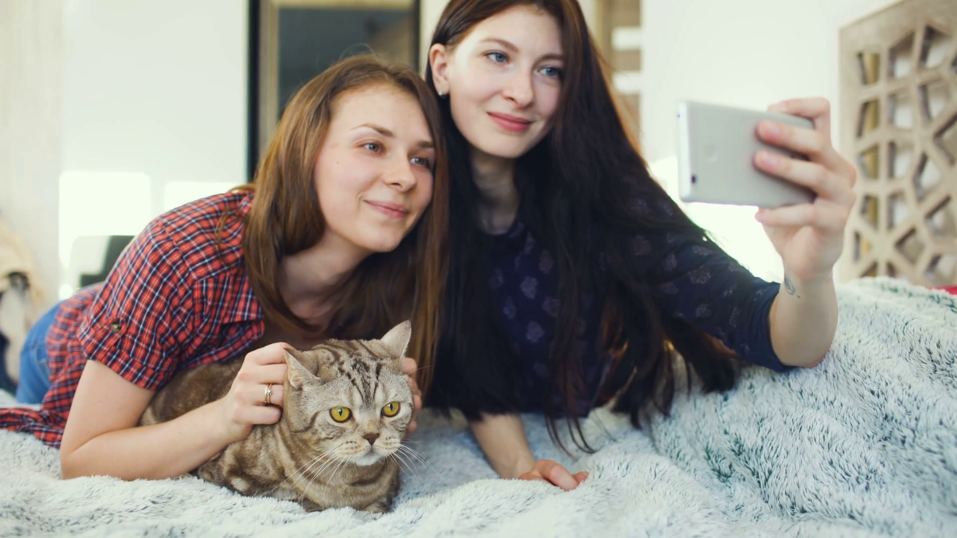 Two happy women friends lying in bed and making selfie with cat and ...