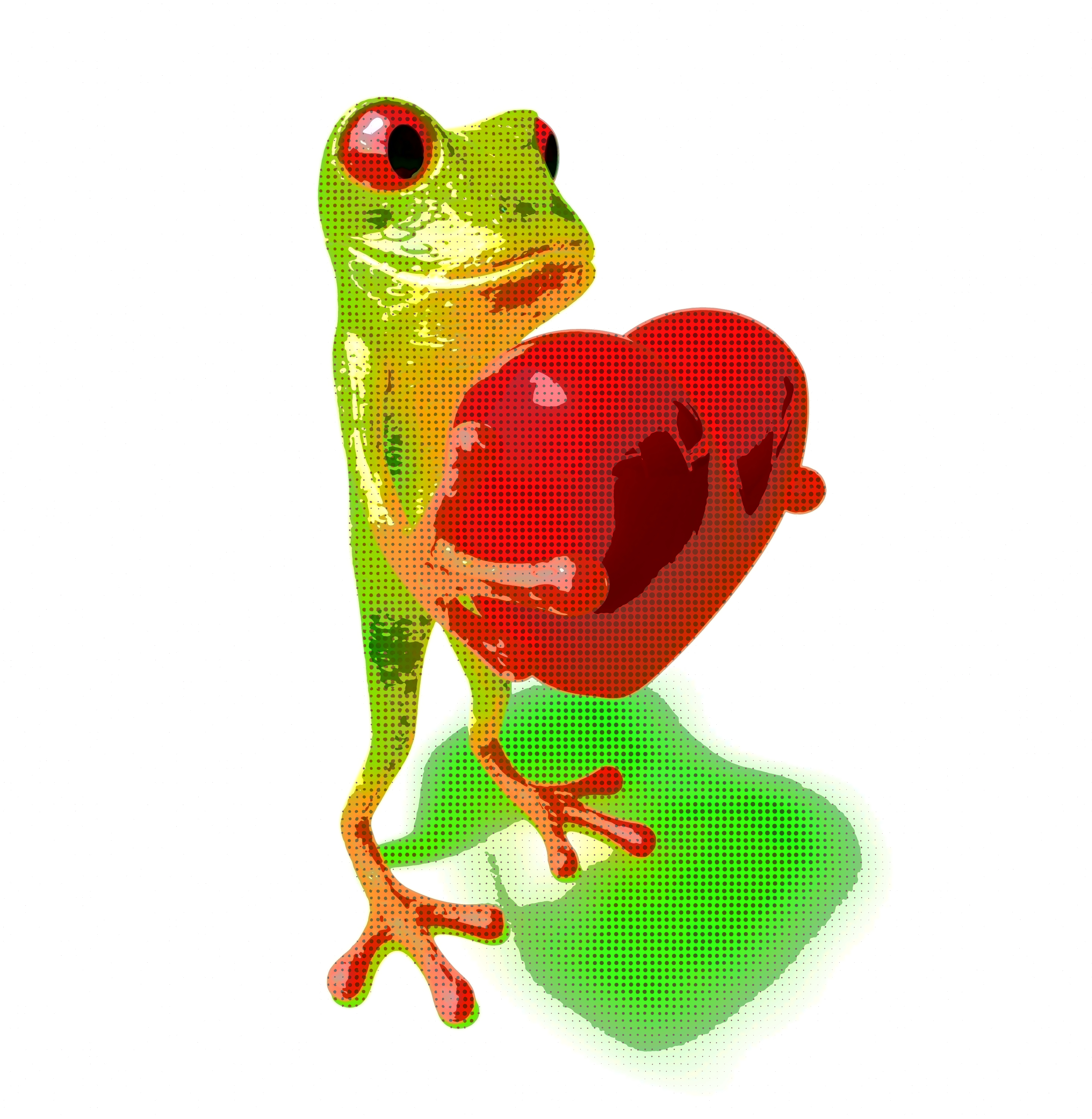 Frog, 3d, Jump, Tropics, Tropical, HQ Photo