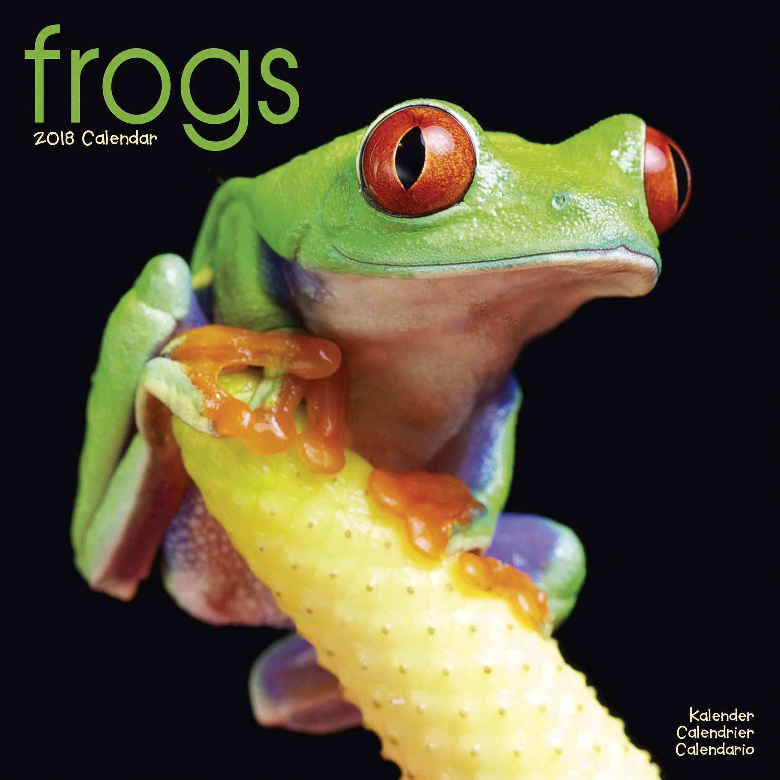 Frogs Calendar 2018 - Calendar Club UK