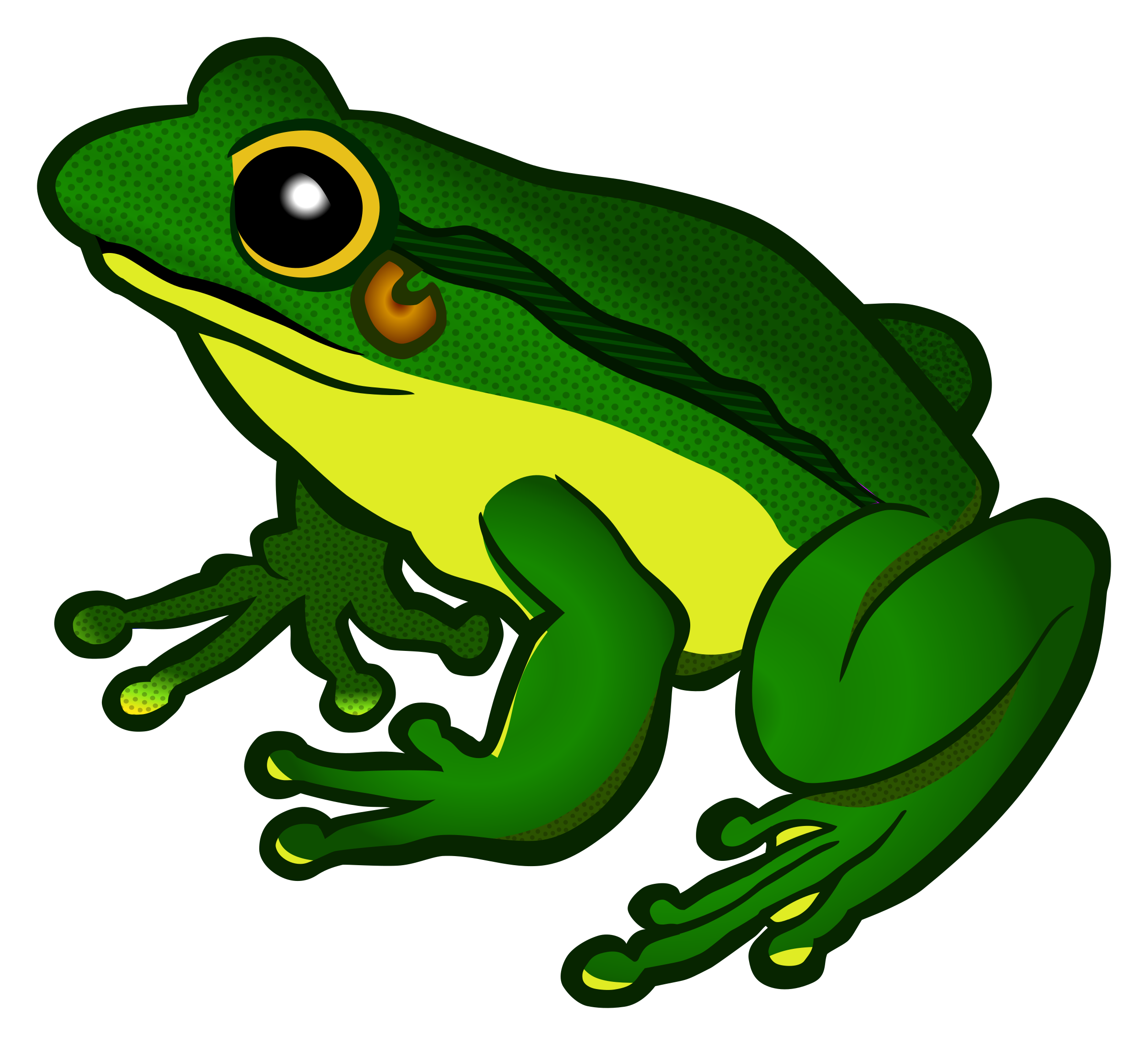 frog - coloured Icons PNG - Free PNG and Icons Downloads