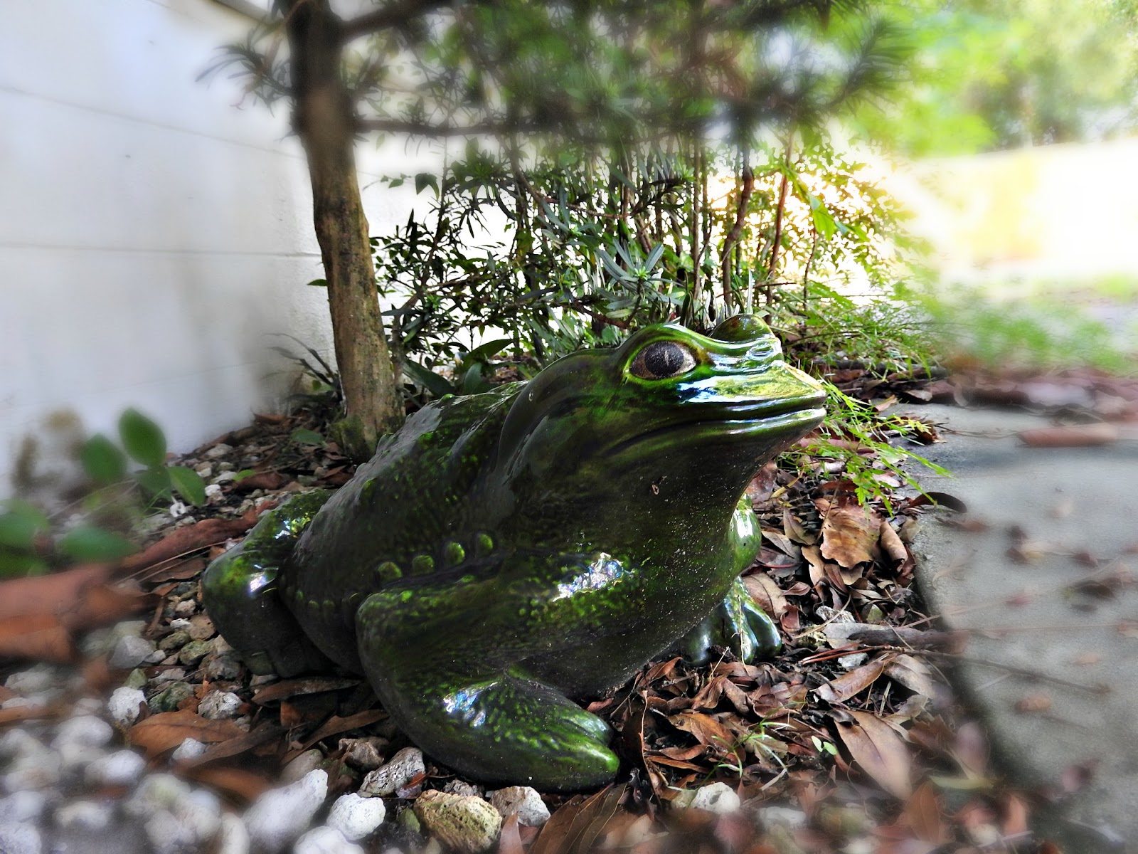 Mad Snapper: Ceramic frog
