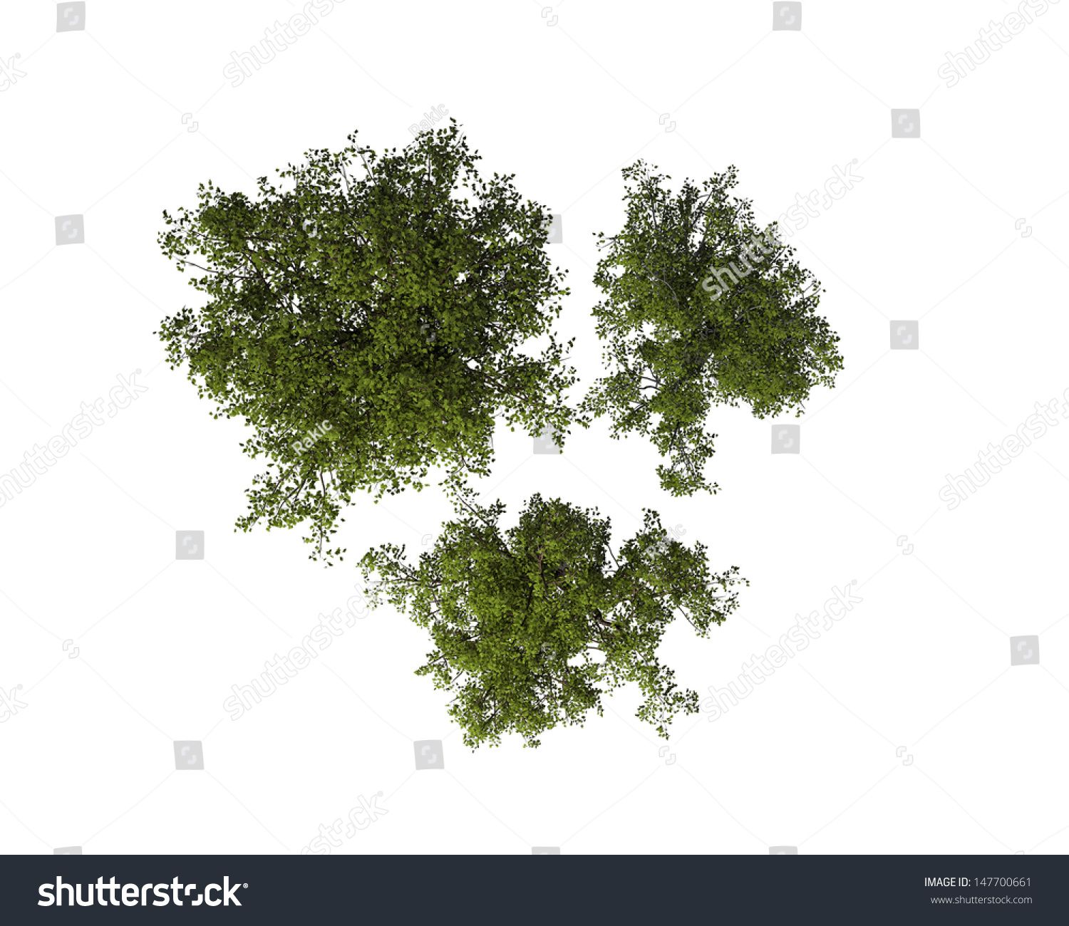 Set Tree View Above Isolated On Stock Illustration 147700661 ...