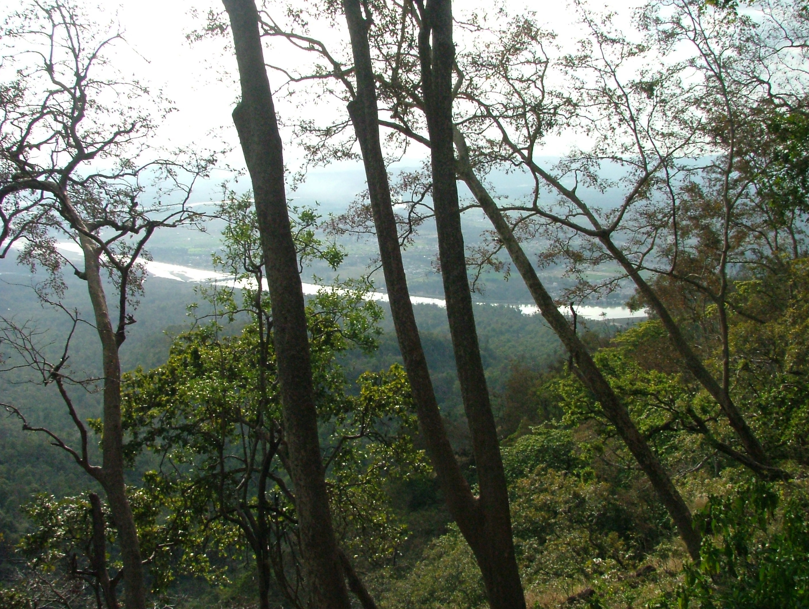 File:View of the Ganges from the forest above Rishikesh.jpg ...
