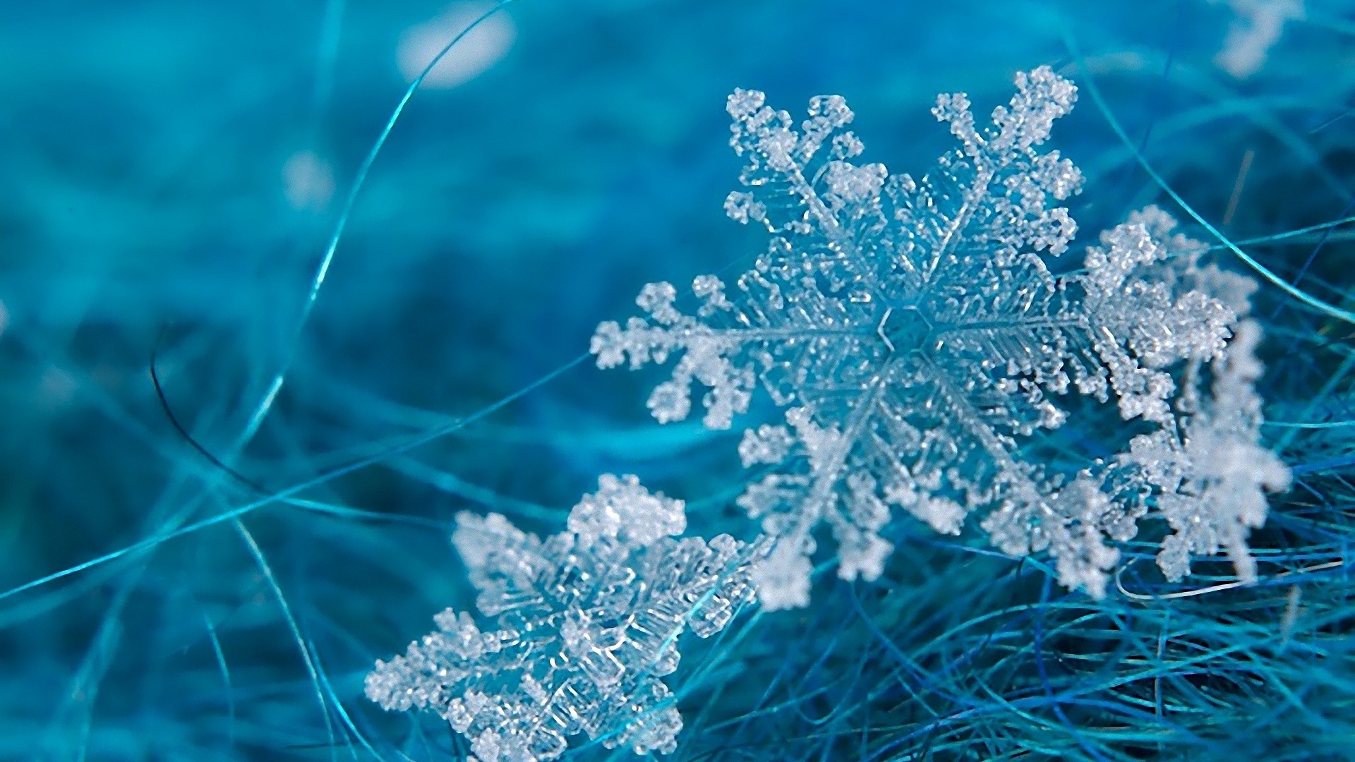Frost Background HD Wallpaper, Background Images