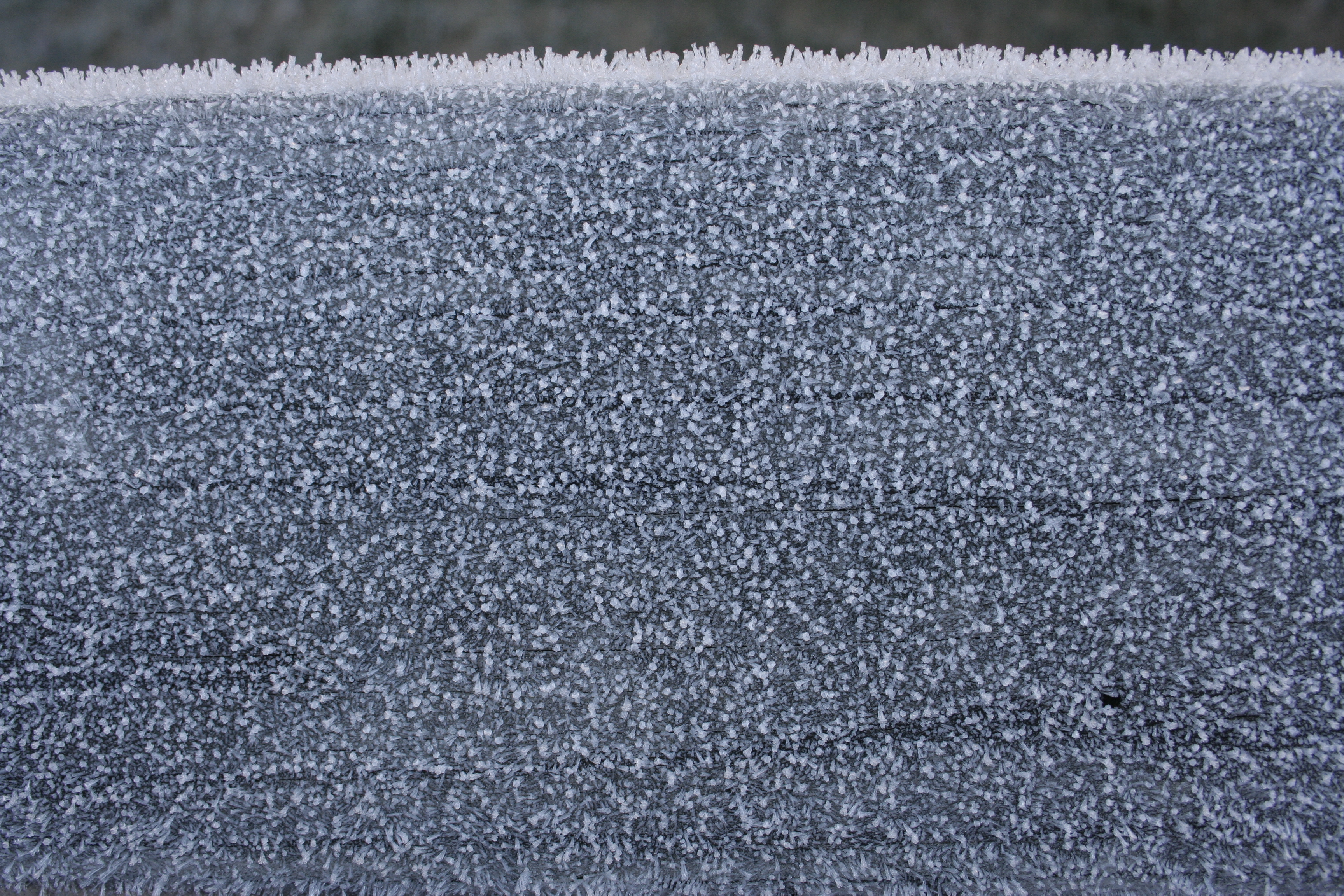 Frost on metal photo