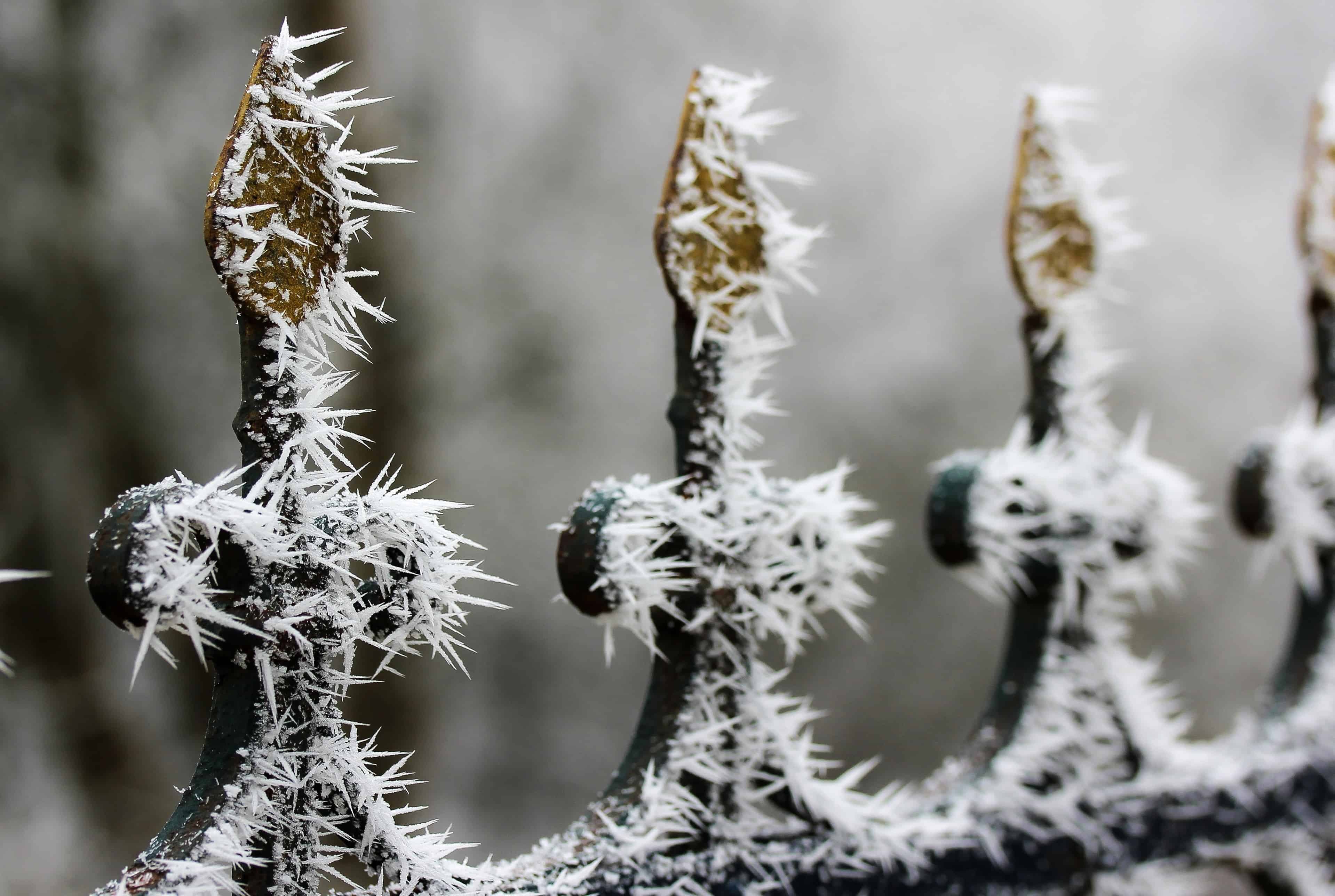 Free picture: fence, snowflake, iron, steel, metal, frost, snow, winter