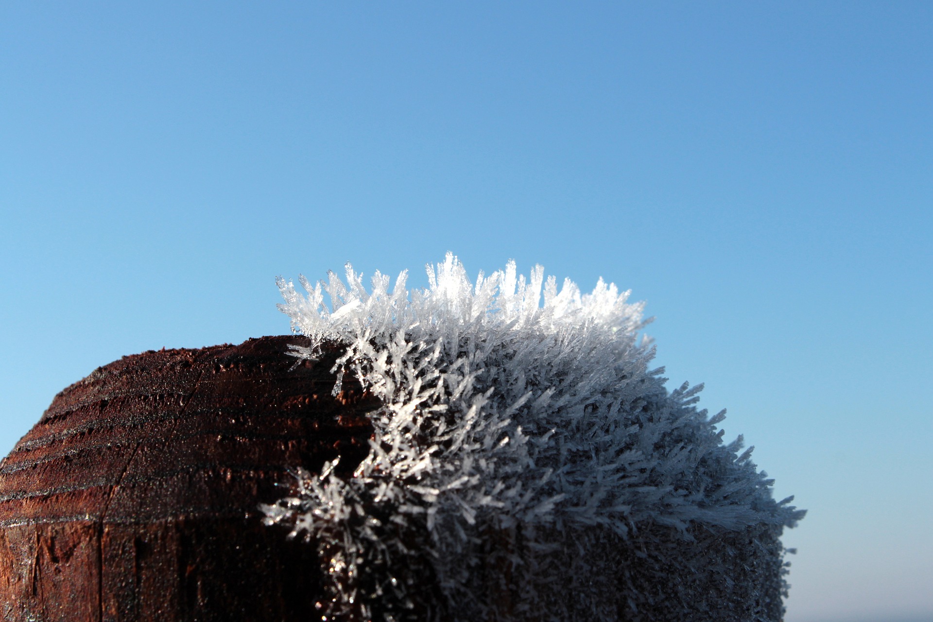 Frost on wood pole photo