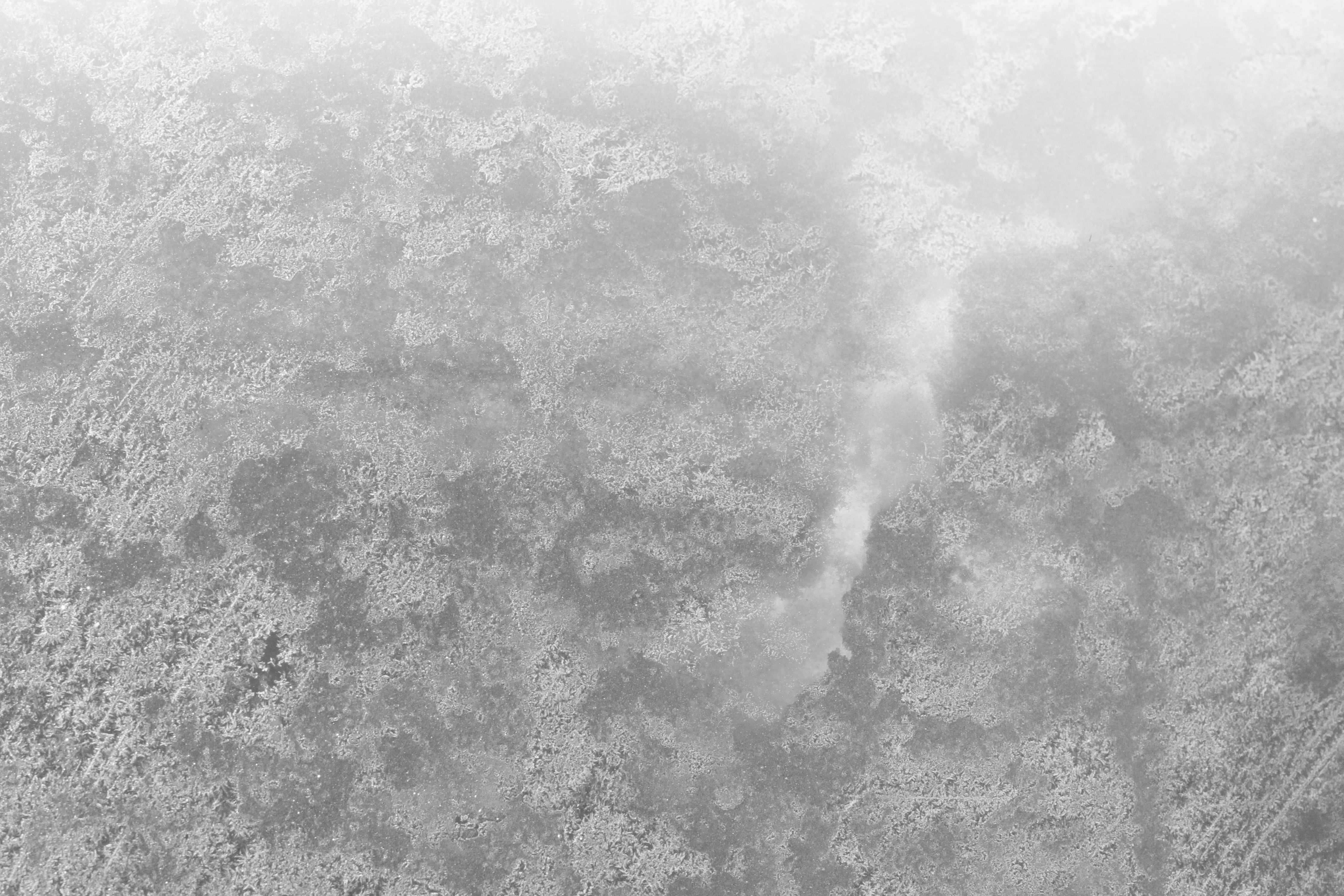 Free Grayscale Frost Texture Texture - L+T