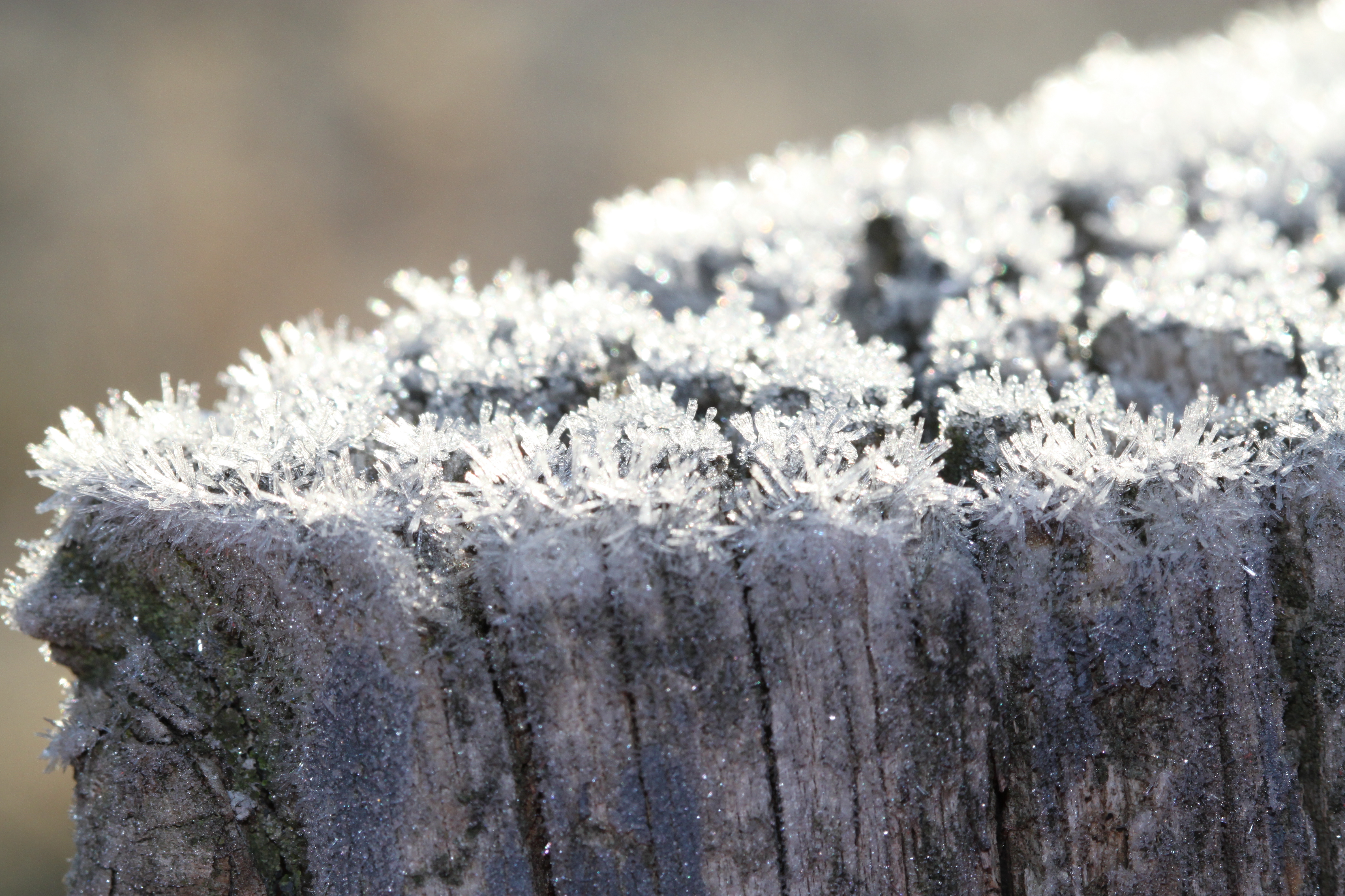 Frosty Fence In High Resolution HD Desktop Wallpaper, Instagram ...