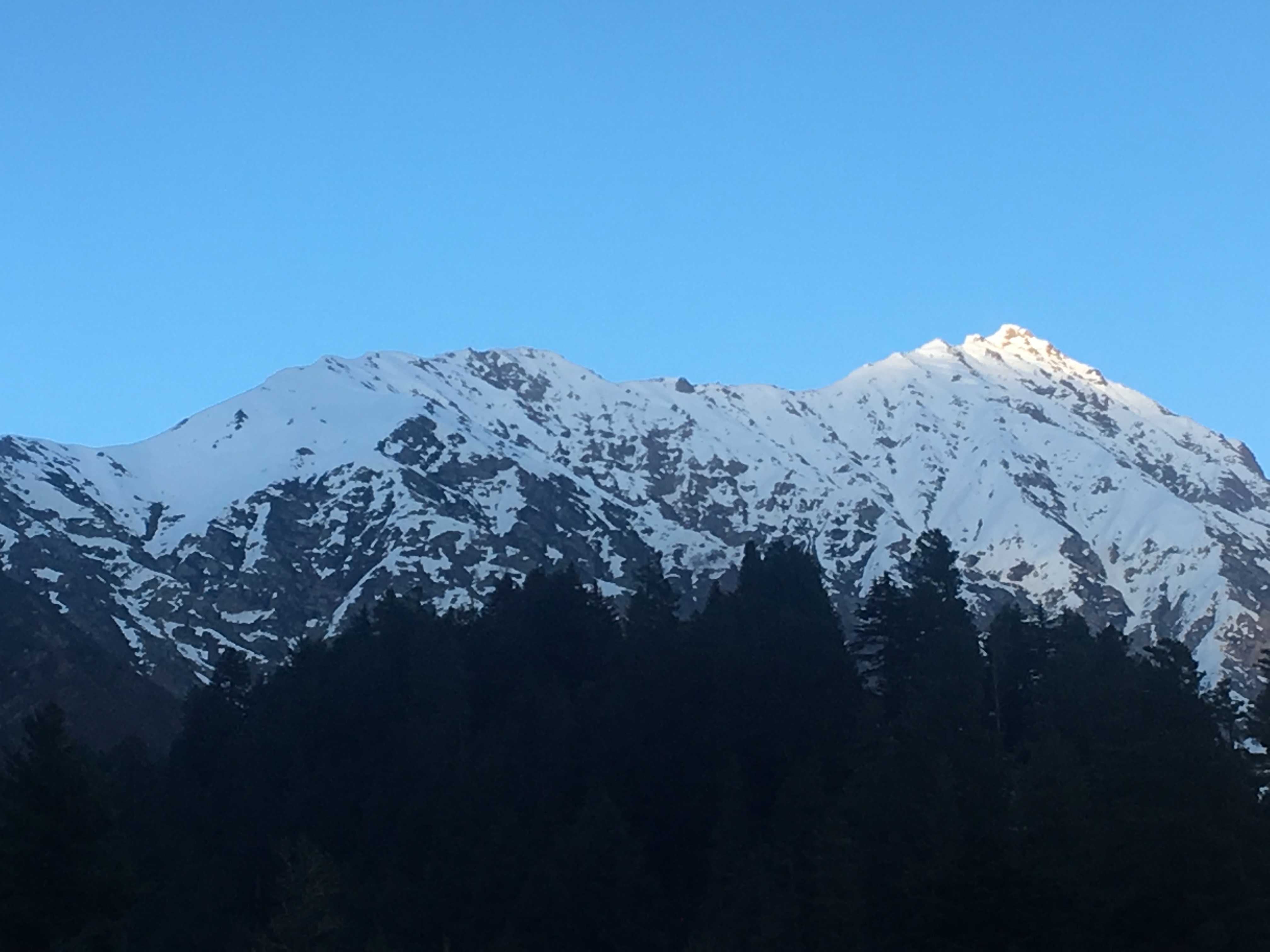 File:Frozen alpine.jpg - Wikimedia Commons