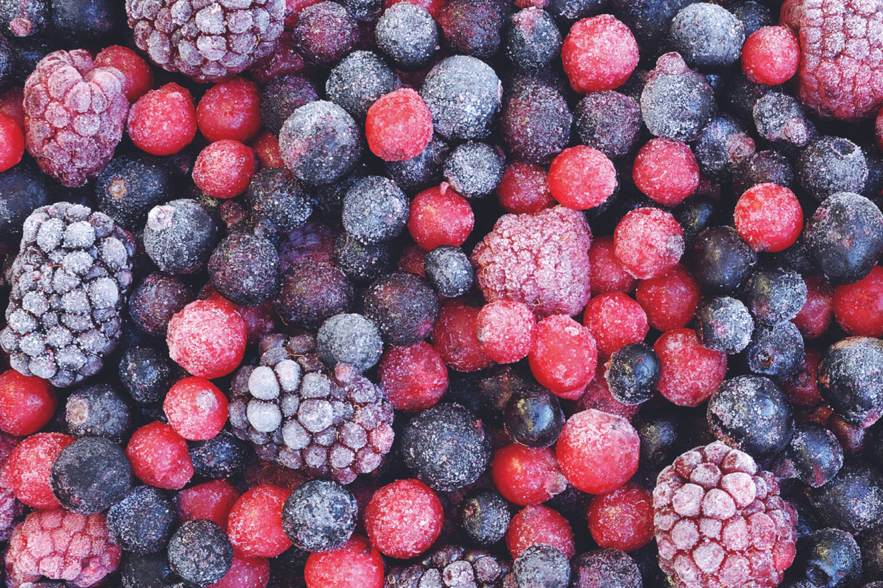Frozen berries, one of the best-selling Bulgaria's products ...