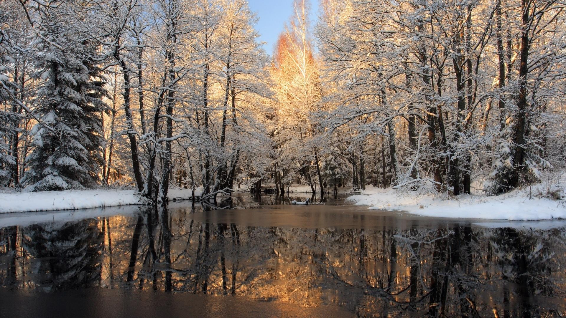 River: Beautiful Forests Ice River Frozen Forest Reflection Winter ...