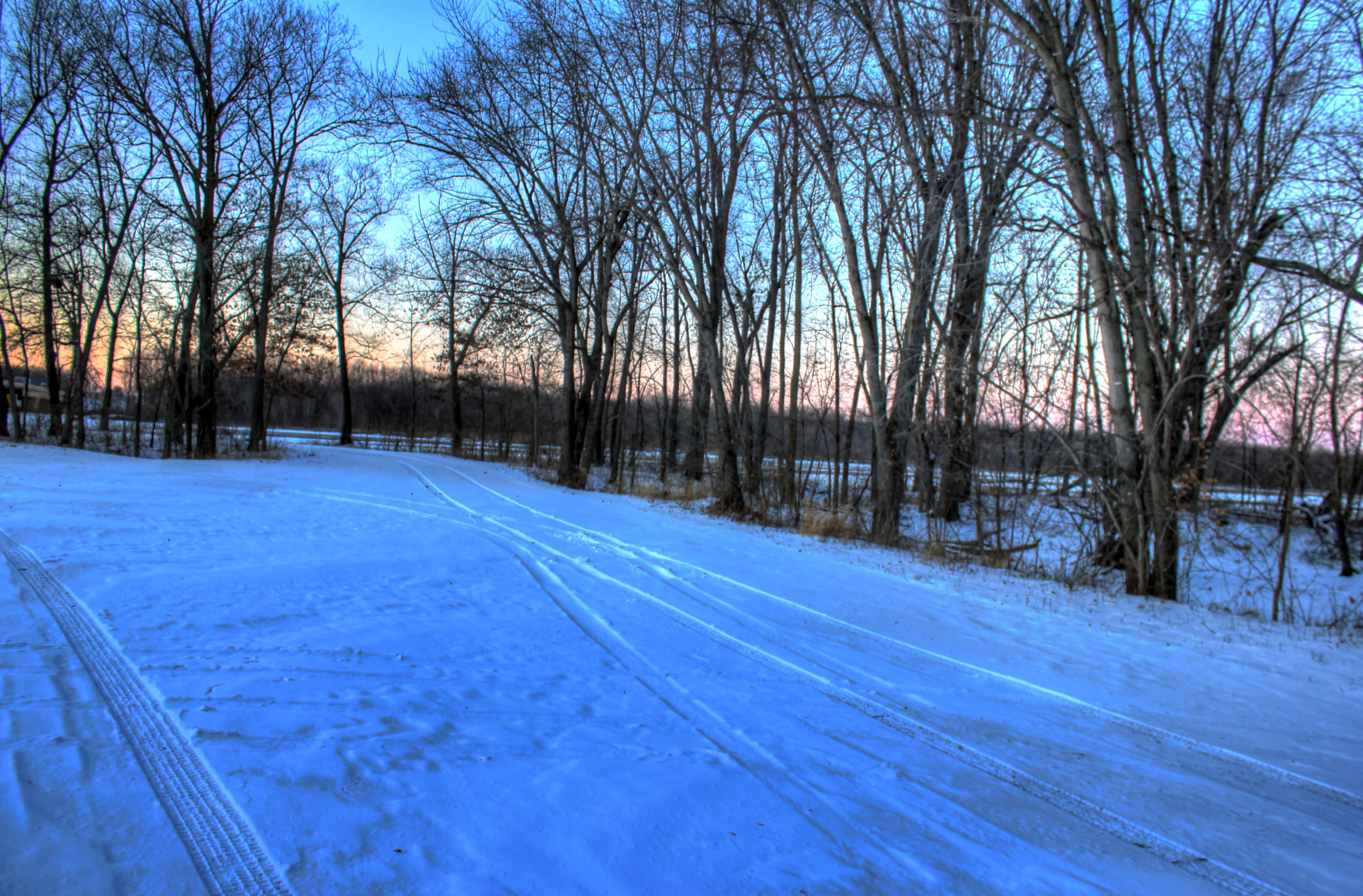 File:Gfp-wisconsin-frozen-forest.jpg - Wikimedia Commons