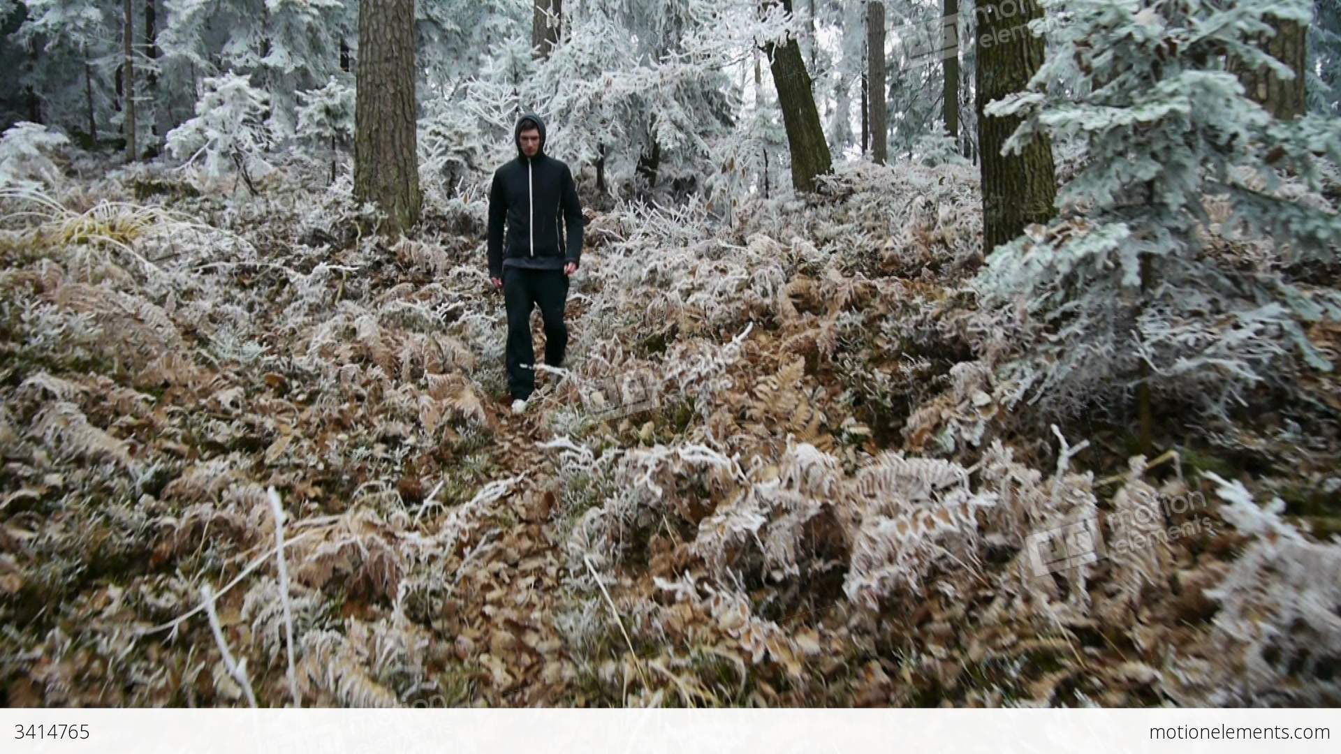 AERIAL: Young Man Walking In The Frozen Forest Stock video footage ...
