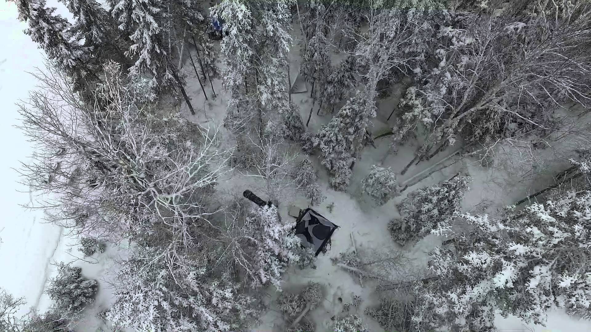 Frozen Forest (drone) near Algonquin Park - YouTube
