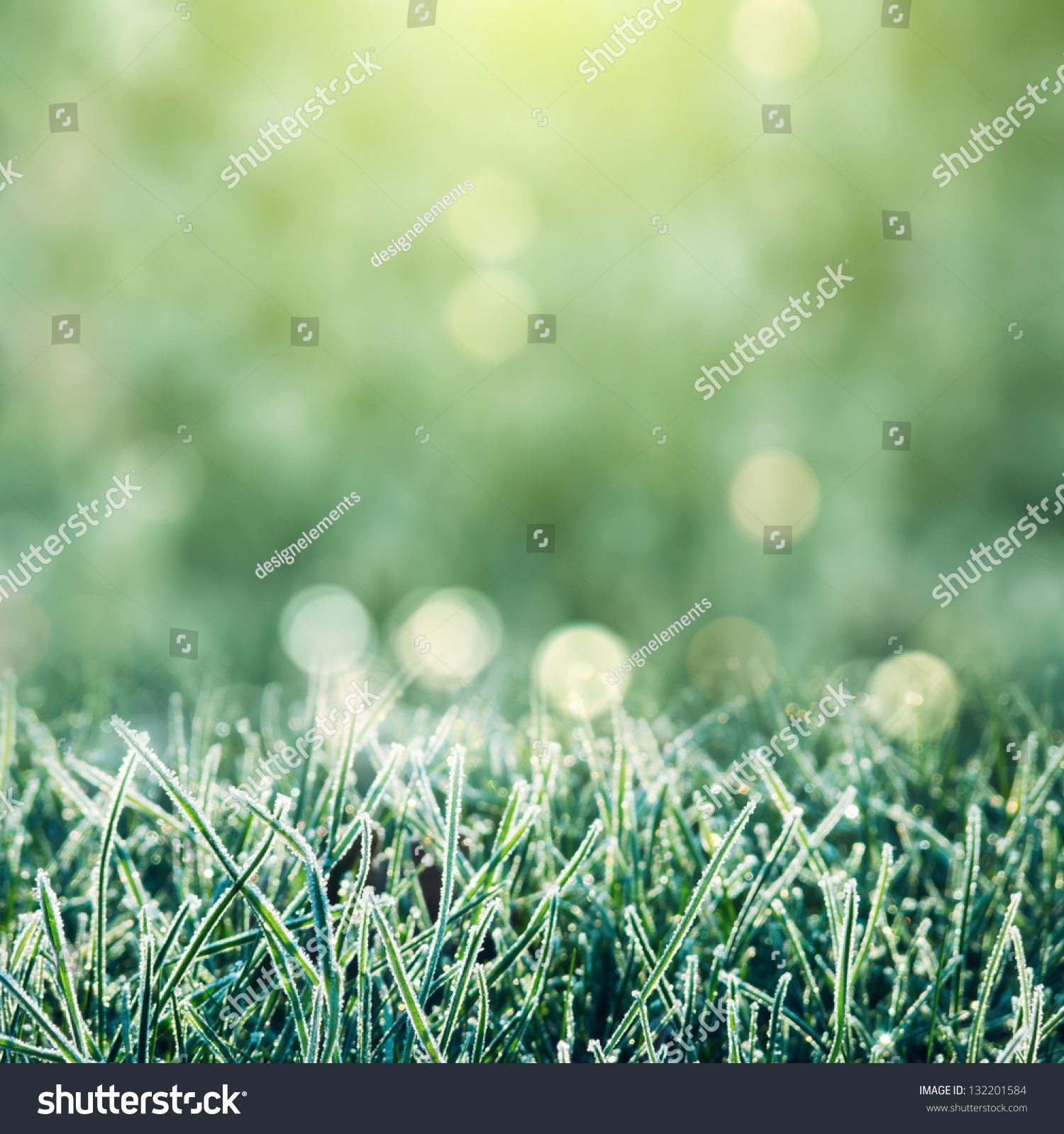 Frozen Grass Background Bokeh Stock Photo 132201584 - Shutterstock