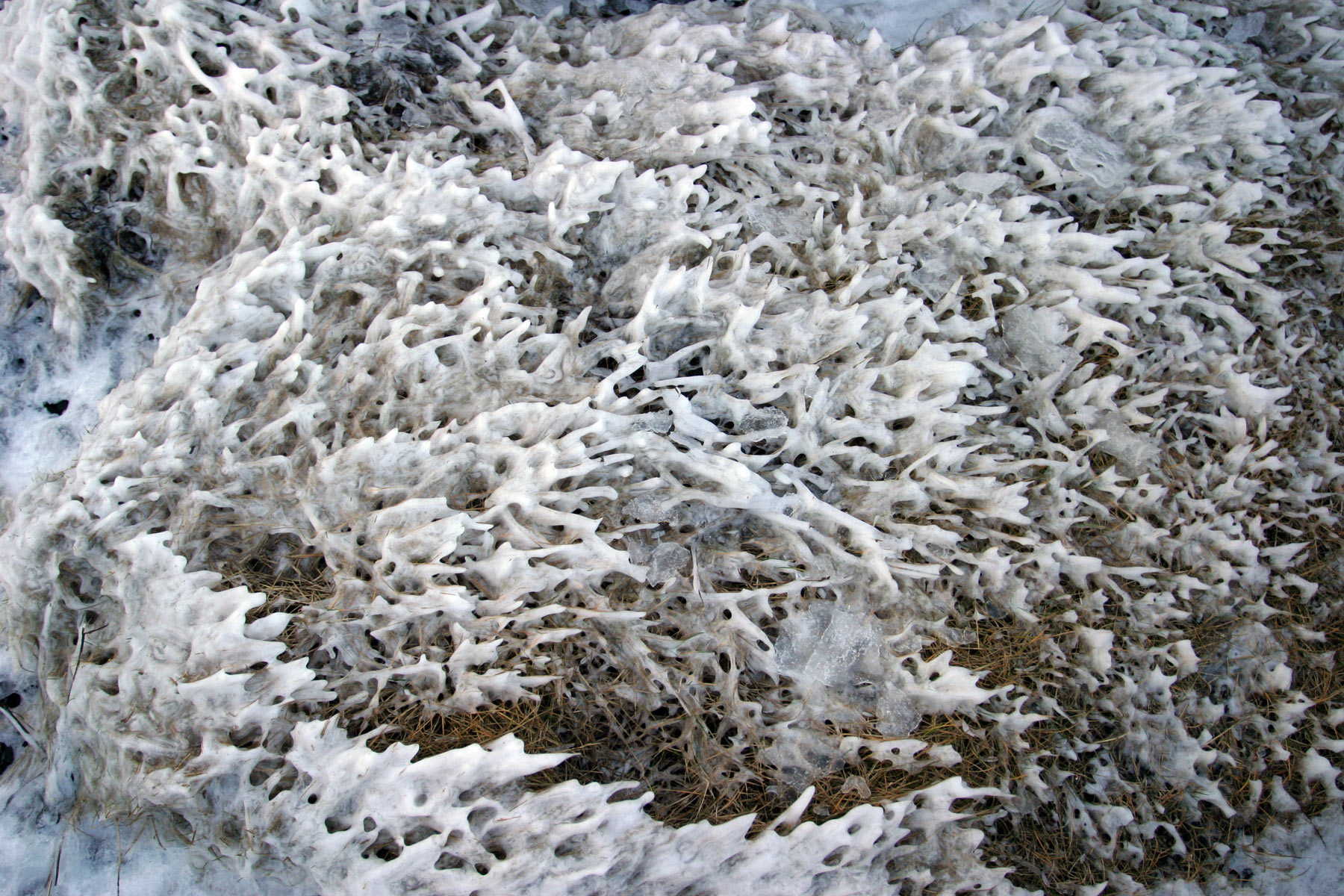 Frozen grass, Abstract, Freezing, Frost, Frozen, HQ Photo