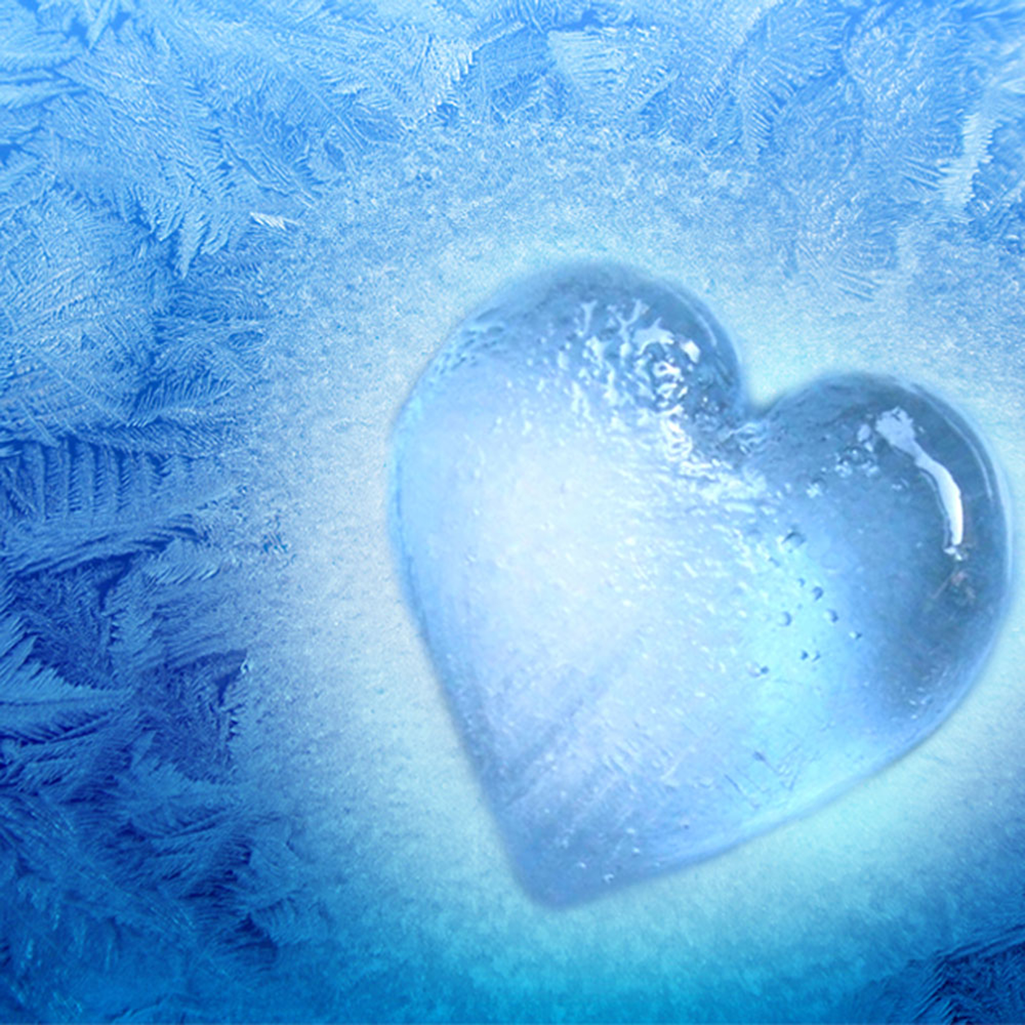 frozen heart - Rhema Revelation