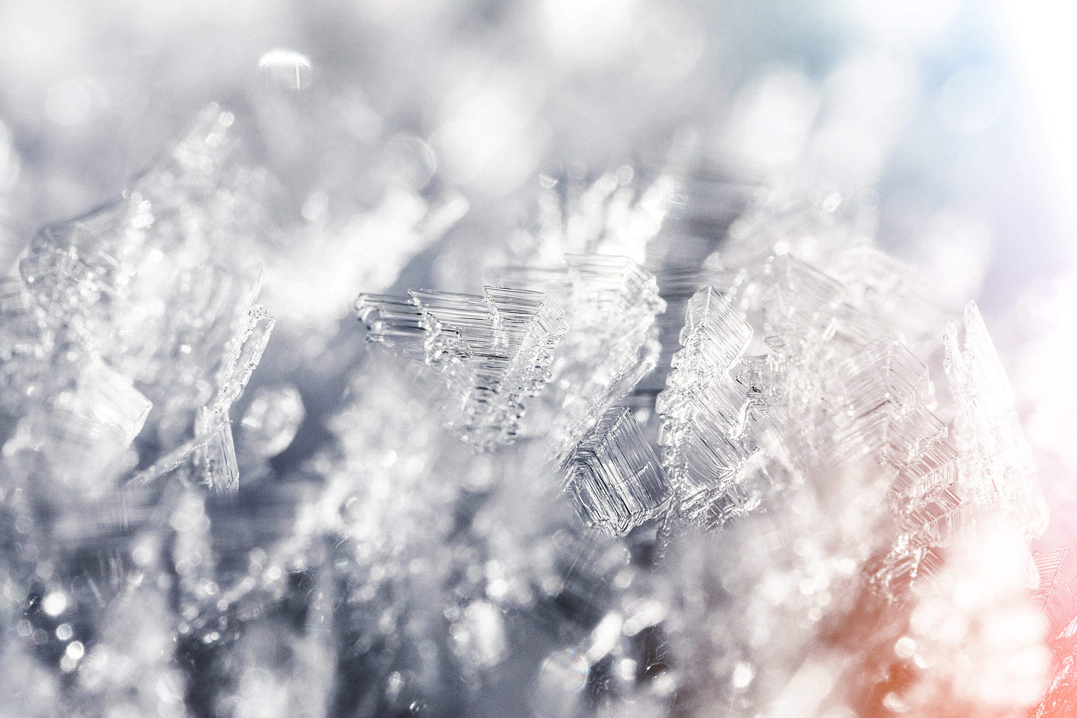 Frozen Snowflakes Winter Hoarfrost Crystals Close Up Free Stock ...