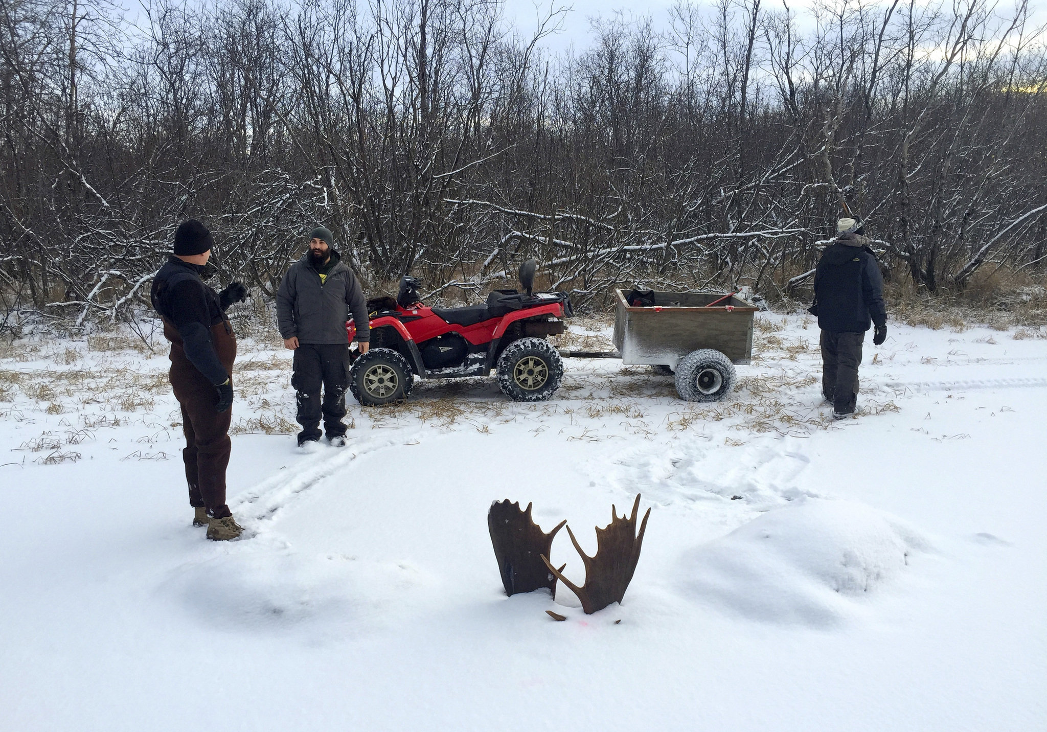 Alaskan teacher stumbles upon moose battle 'frozen in time ...