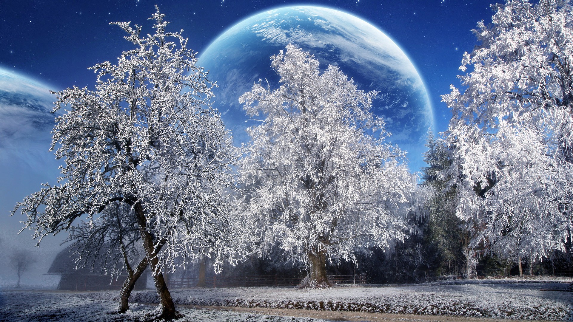 Winter: Moon Nature Fence Trees Frozen Path Magic Gras Winter ...