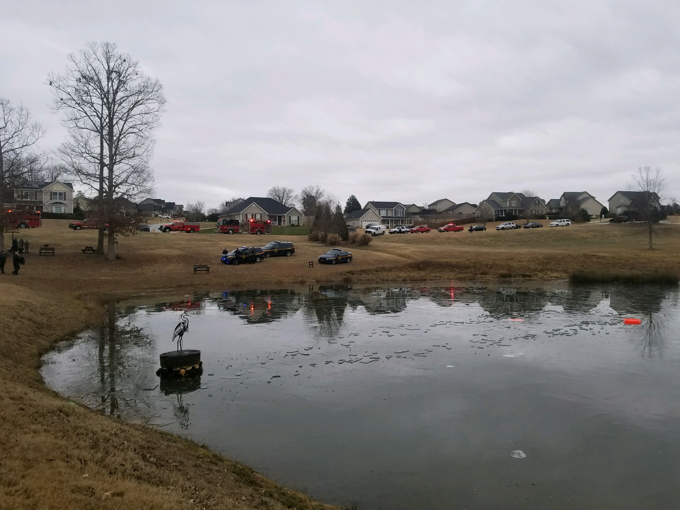 VIDEO | SC: 2 young girls rescued from frozen pond
