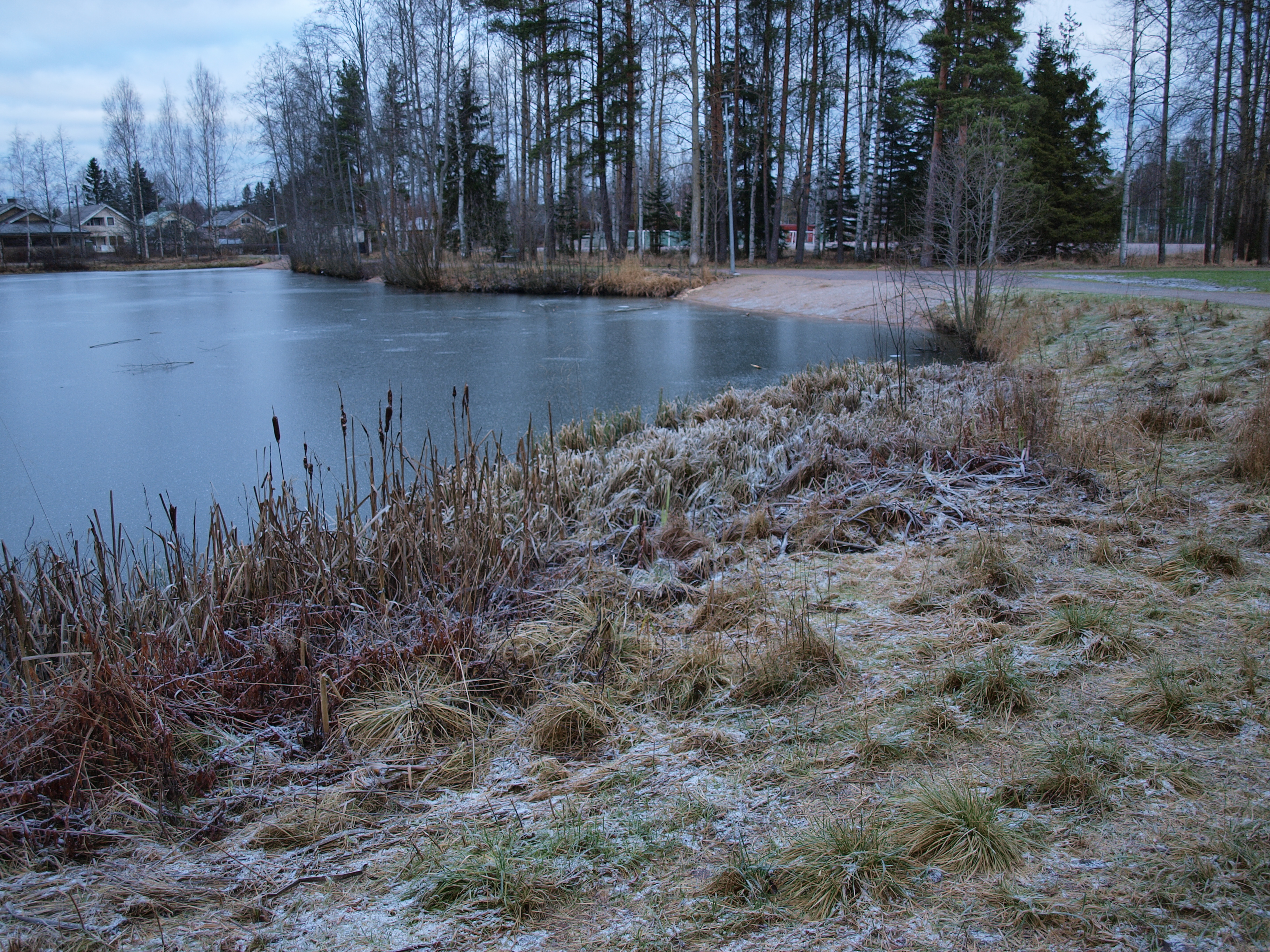 Frozen pond photo