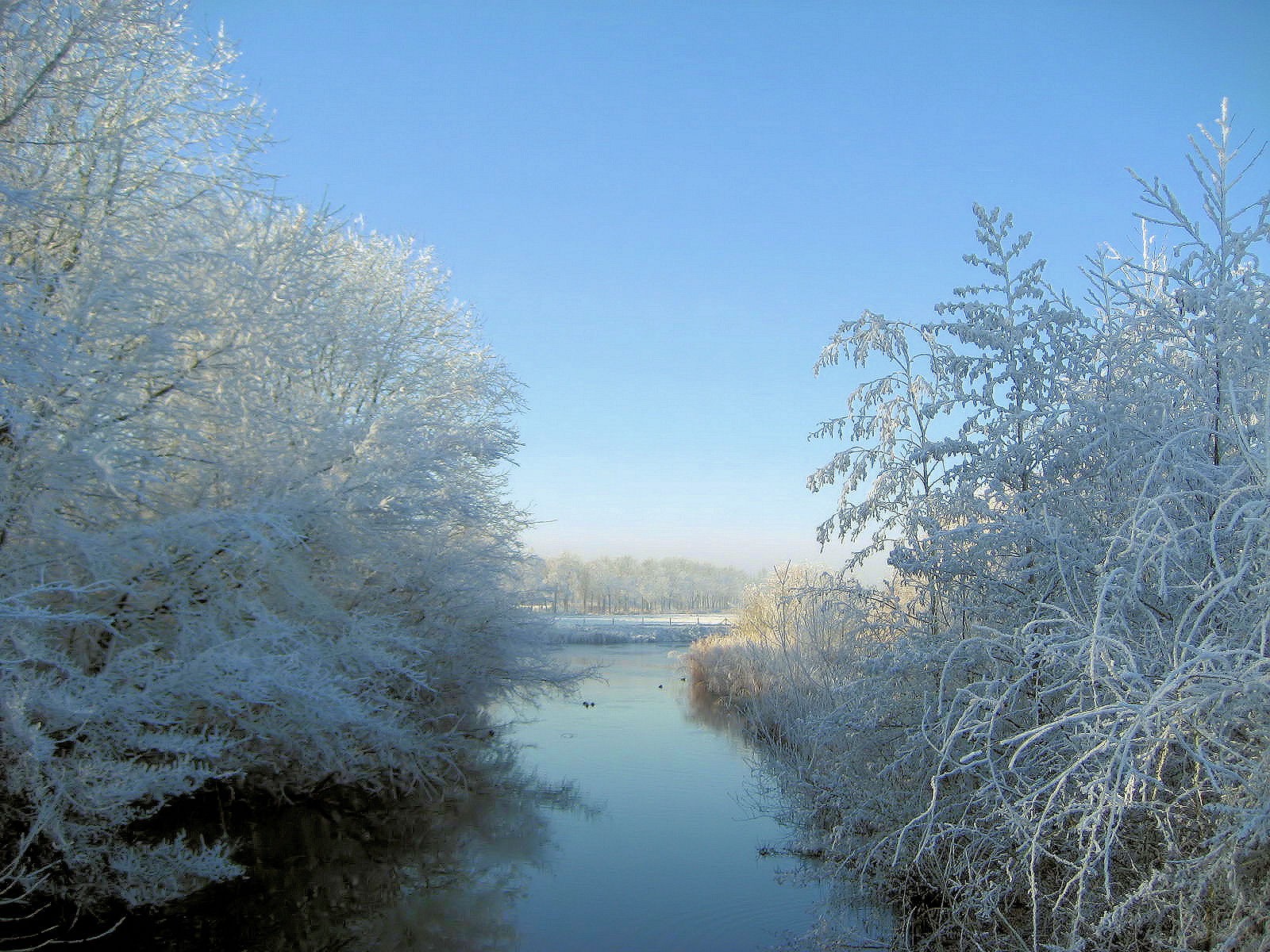 Water Beautiful Trees Silence White Blue View Cold December Nature ...