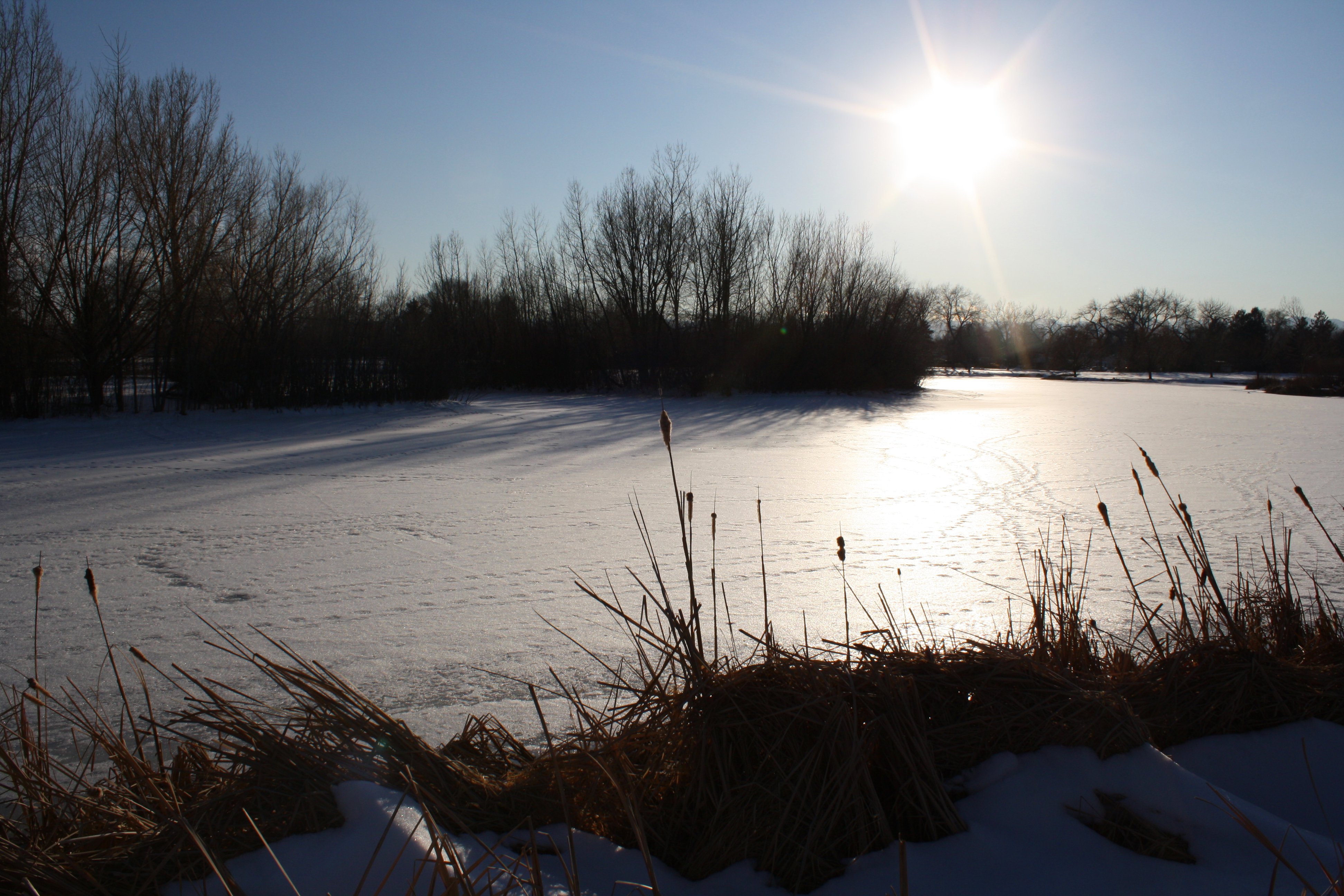 Bright Sun over Frozen Pond Picture | Free Photograph | Photos ...