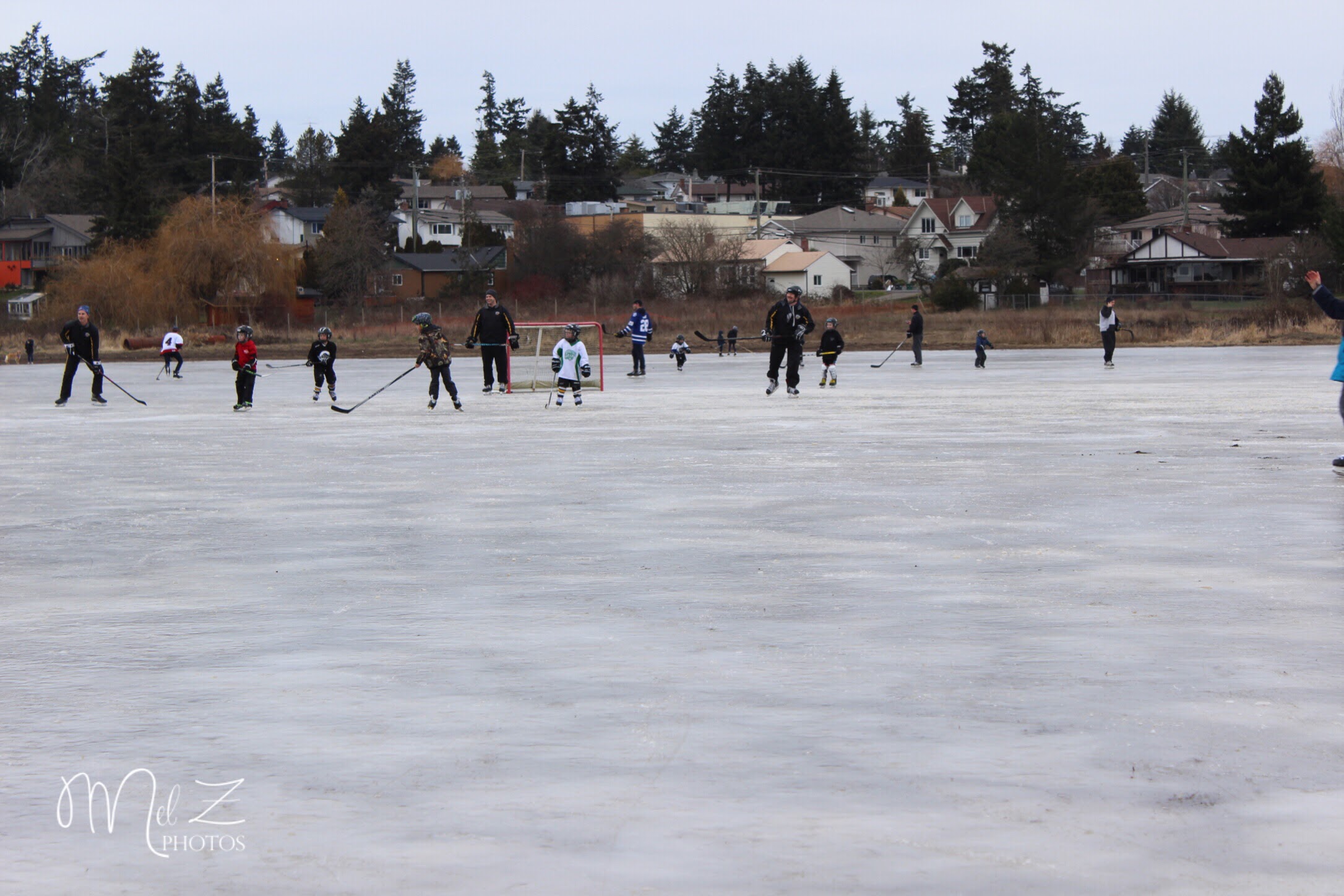 Pond Hockey and Frozen Ponds....This is Victoria? (Photos) - Ocean 98.5