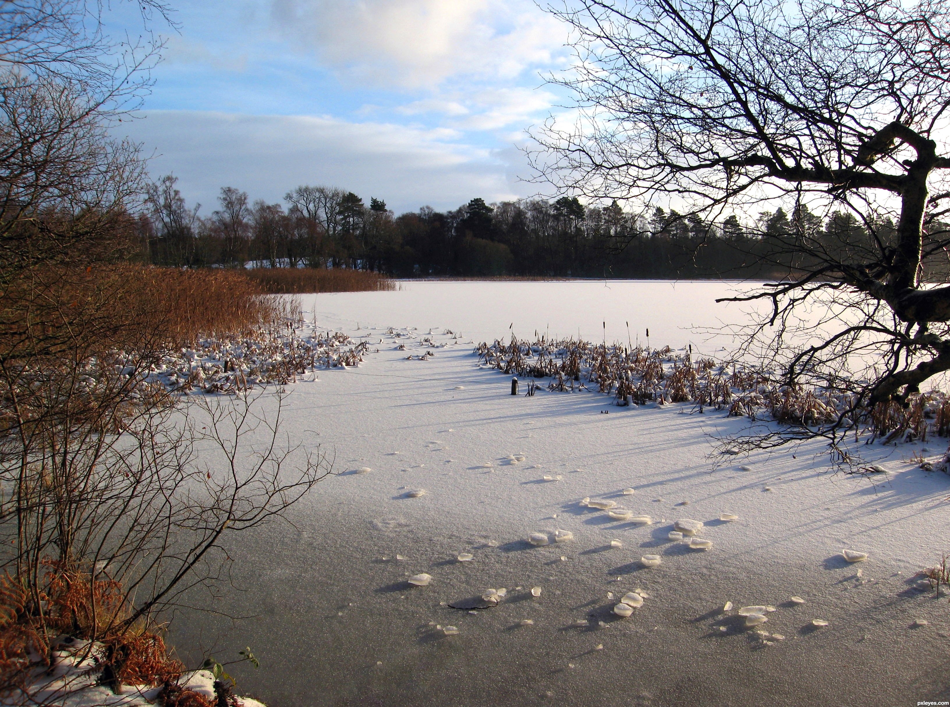 Frozen Pond picture, by jeaniblog for: ice photography contest ...