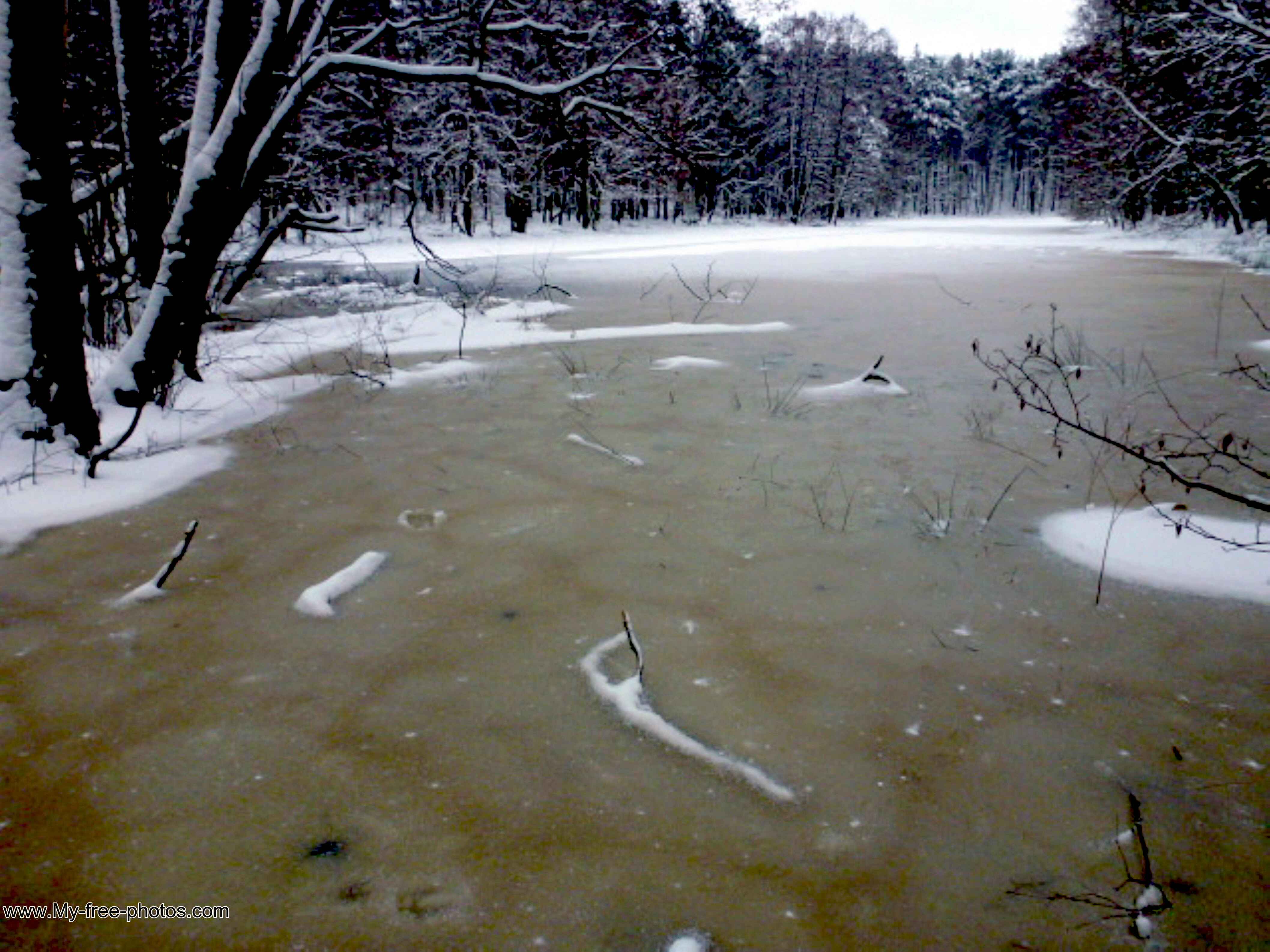 Frozen pond, Pic.P1050317.jpg