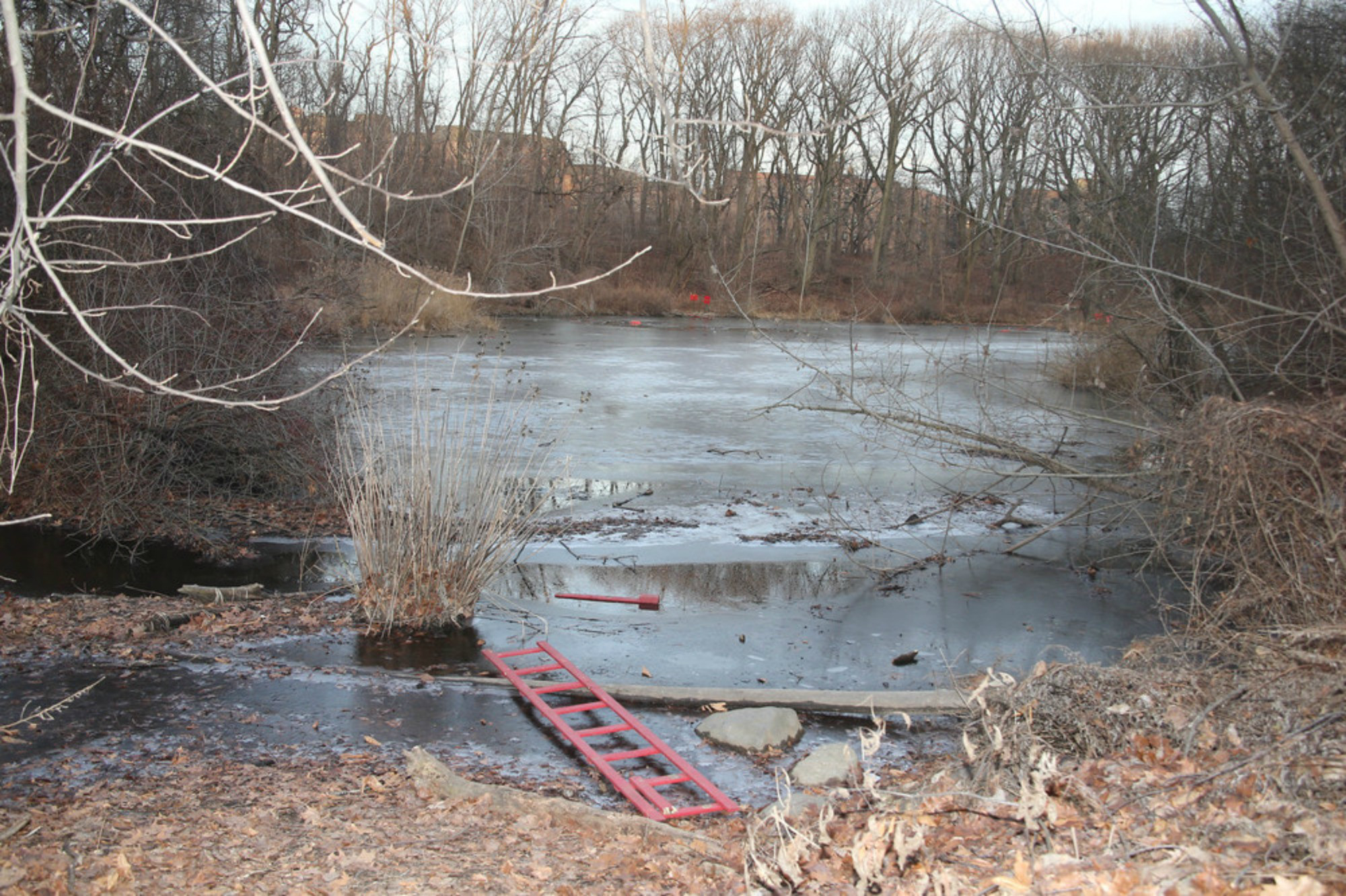 11-year-old boy dies trying to save friend who fell into frozen pond