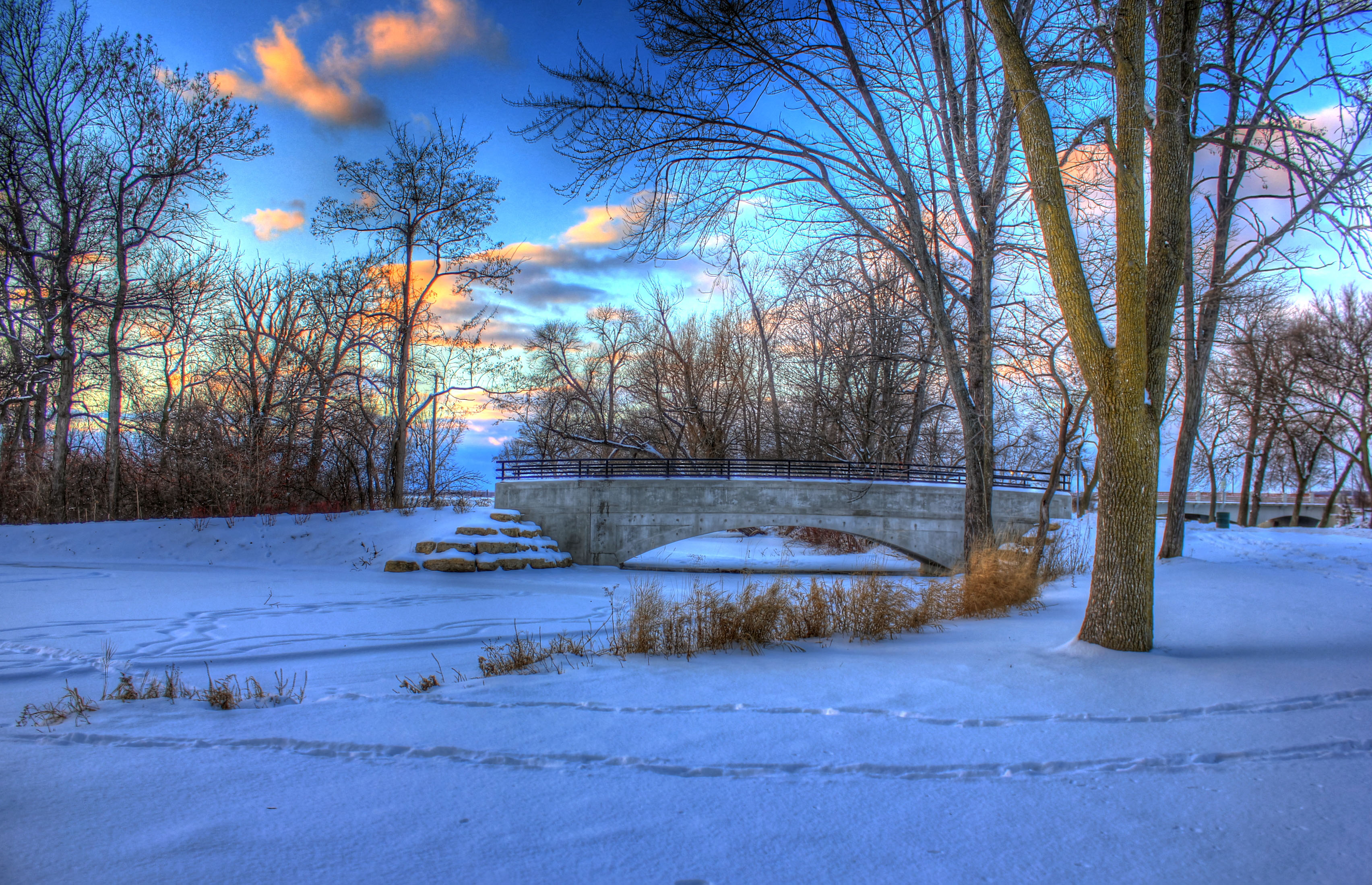 Frozen Pond at Tenney Park in Madison, Wisconsin image - Free stock ...