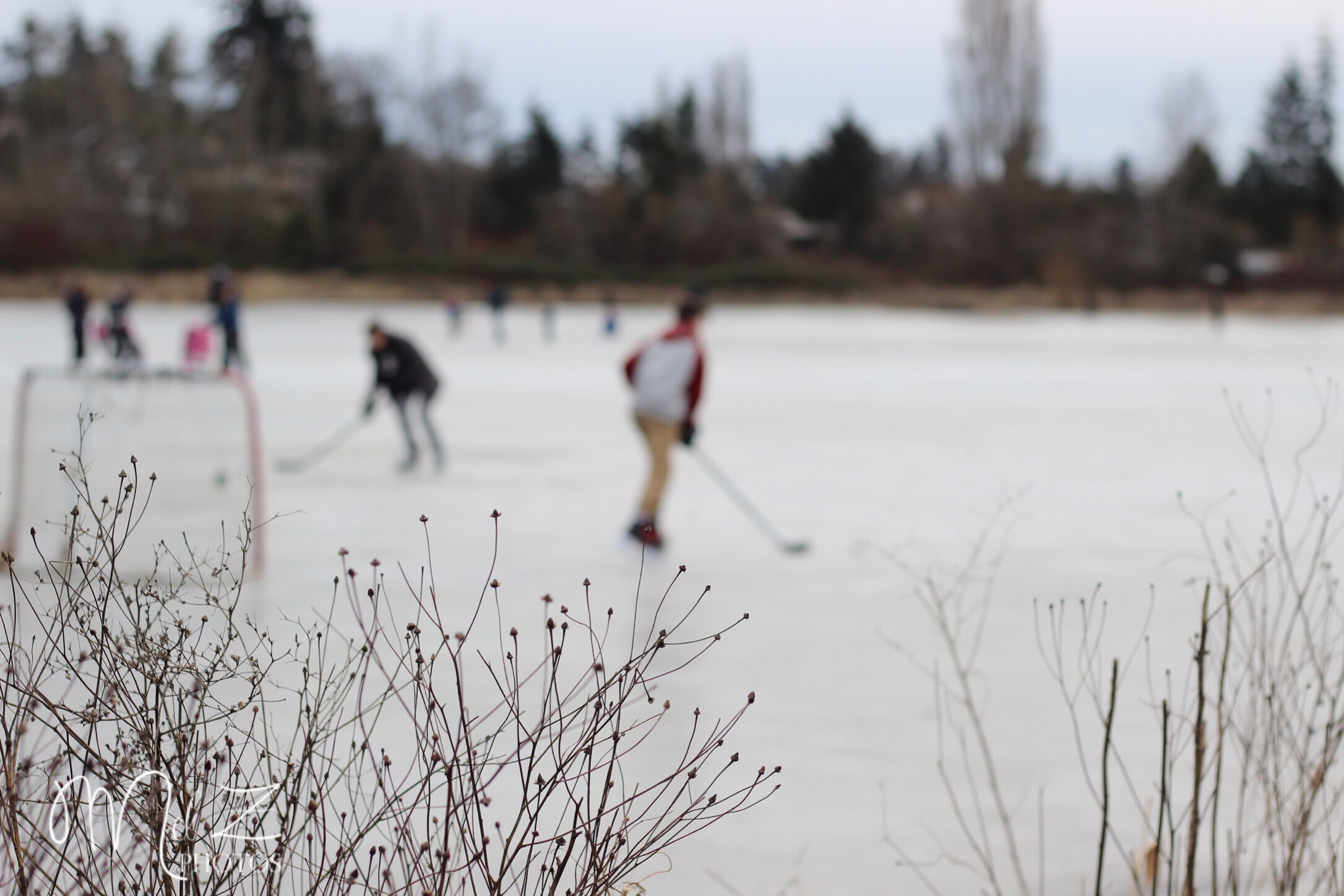 Pond Hockey and Frozen Ponds....This is Victoria? (Photos) - Ocean 98.5