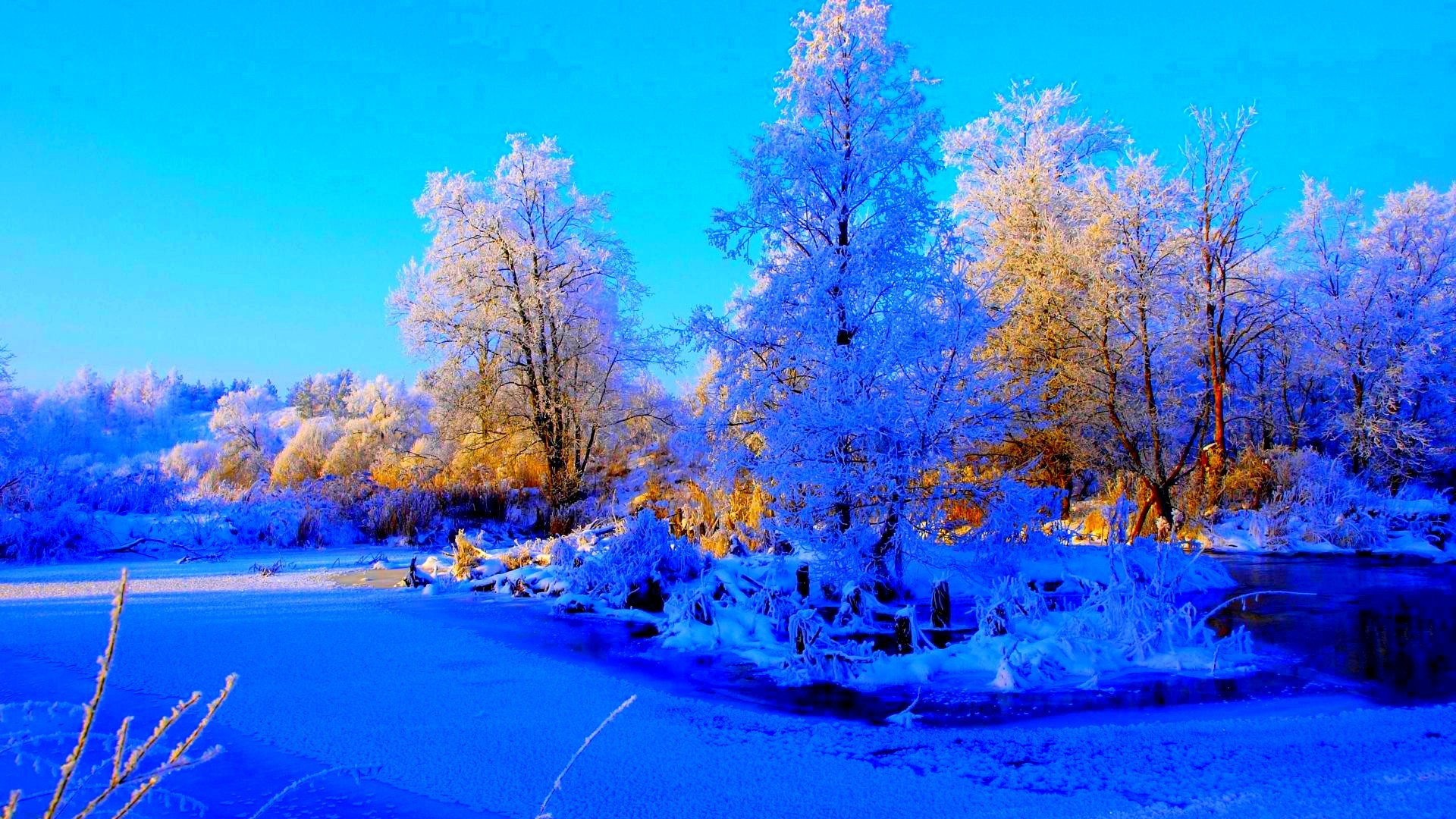 Winter: Winter Frozen Pond Blue Trees Sunrise HD Mobile Wallpapers ...