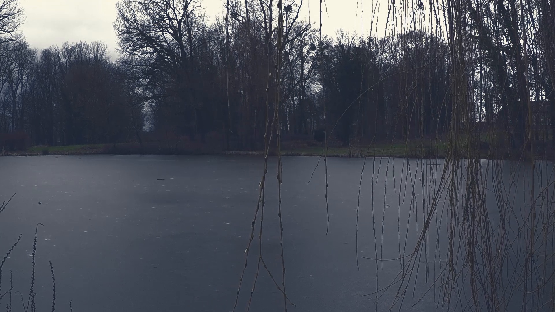 Frozen pond in a dark creepy park in winter ~ Footage #85734738