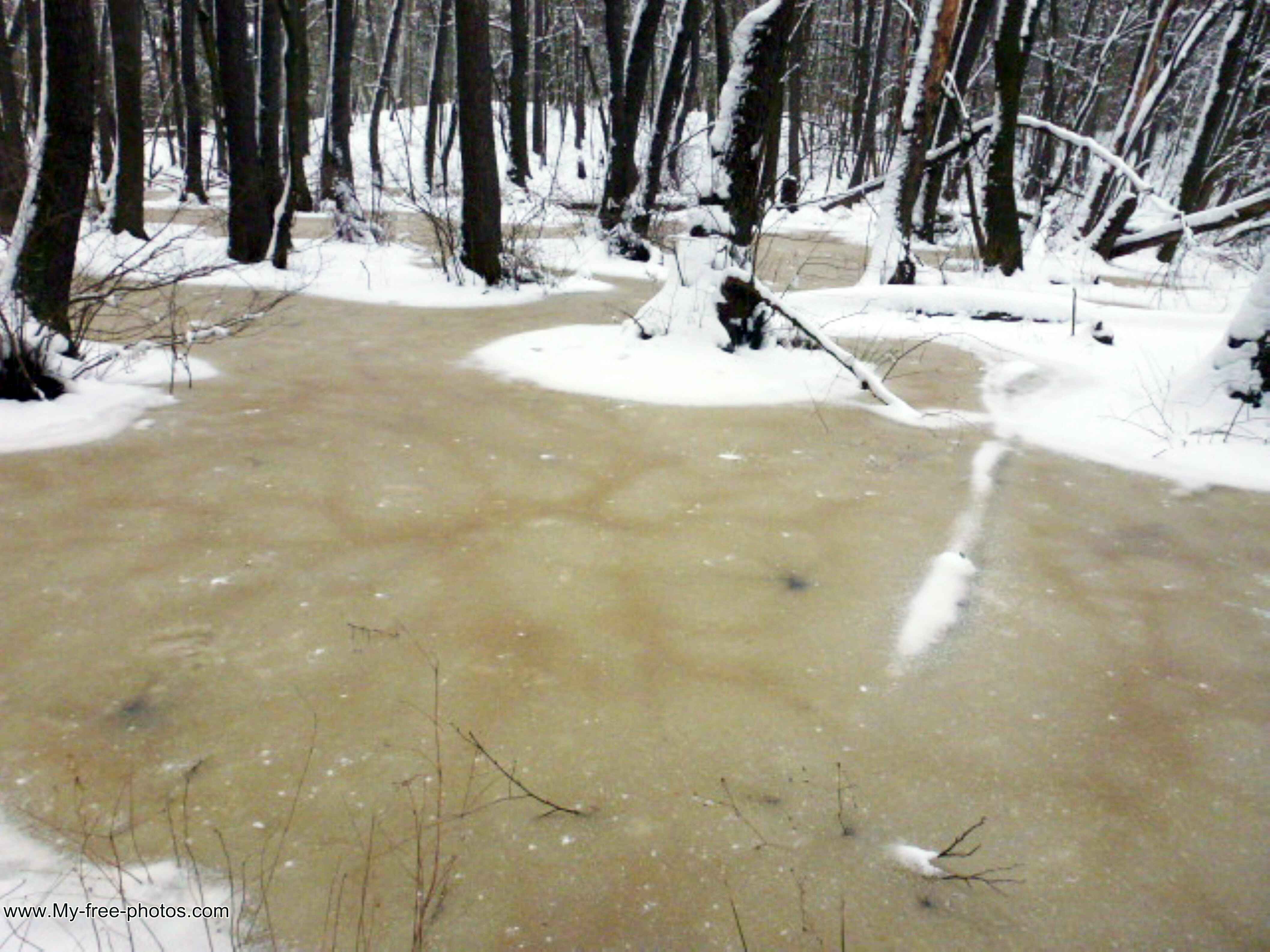 Frozen pond, Pic.P1050318.jpg