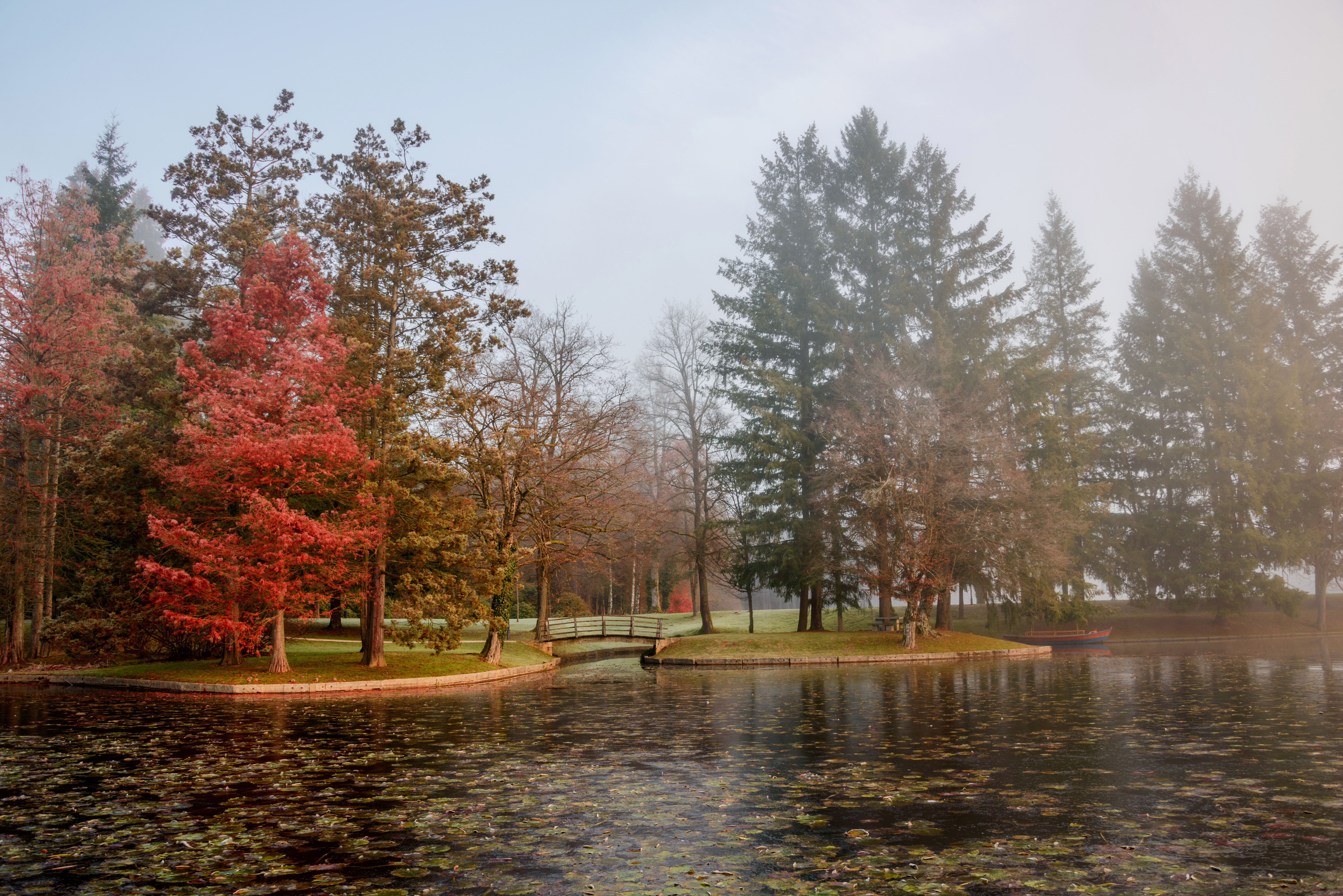 Dreamy Pixel | Frozen autumn pond - Dreamy Pixel