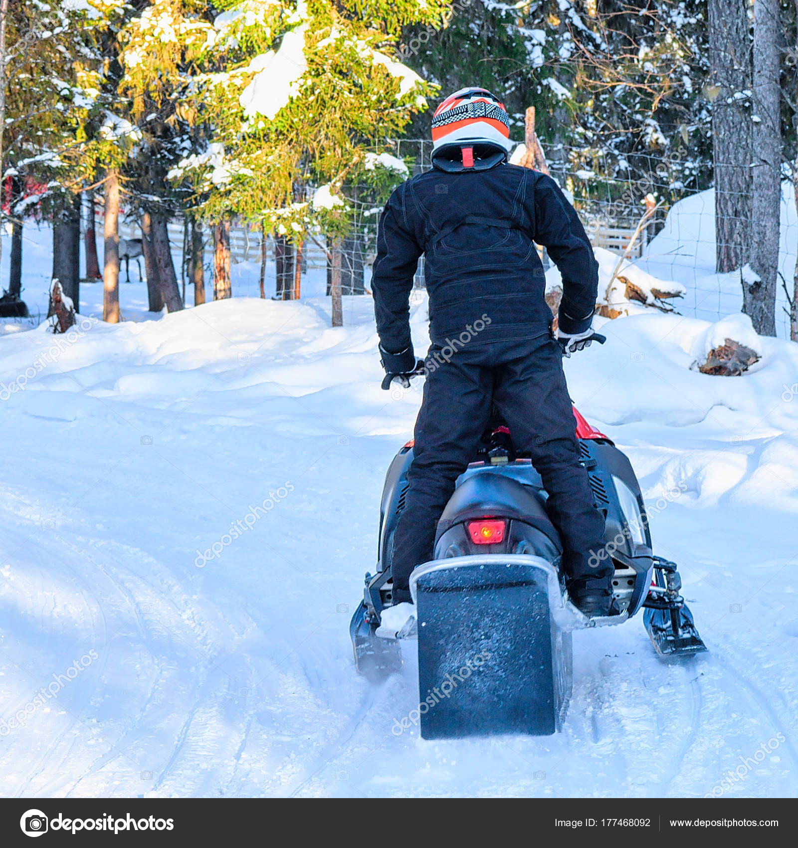Person riding snowmobile on frozen lake winter Rovaniemi Finland ...